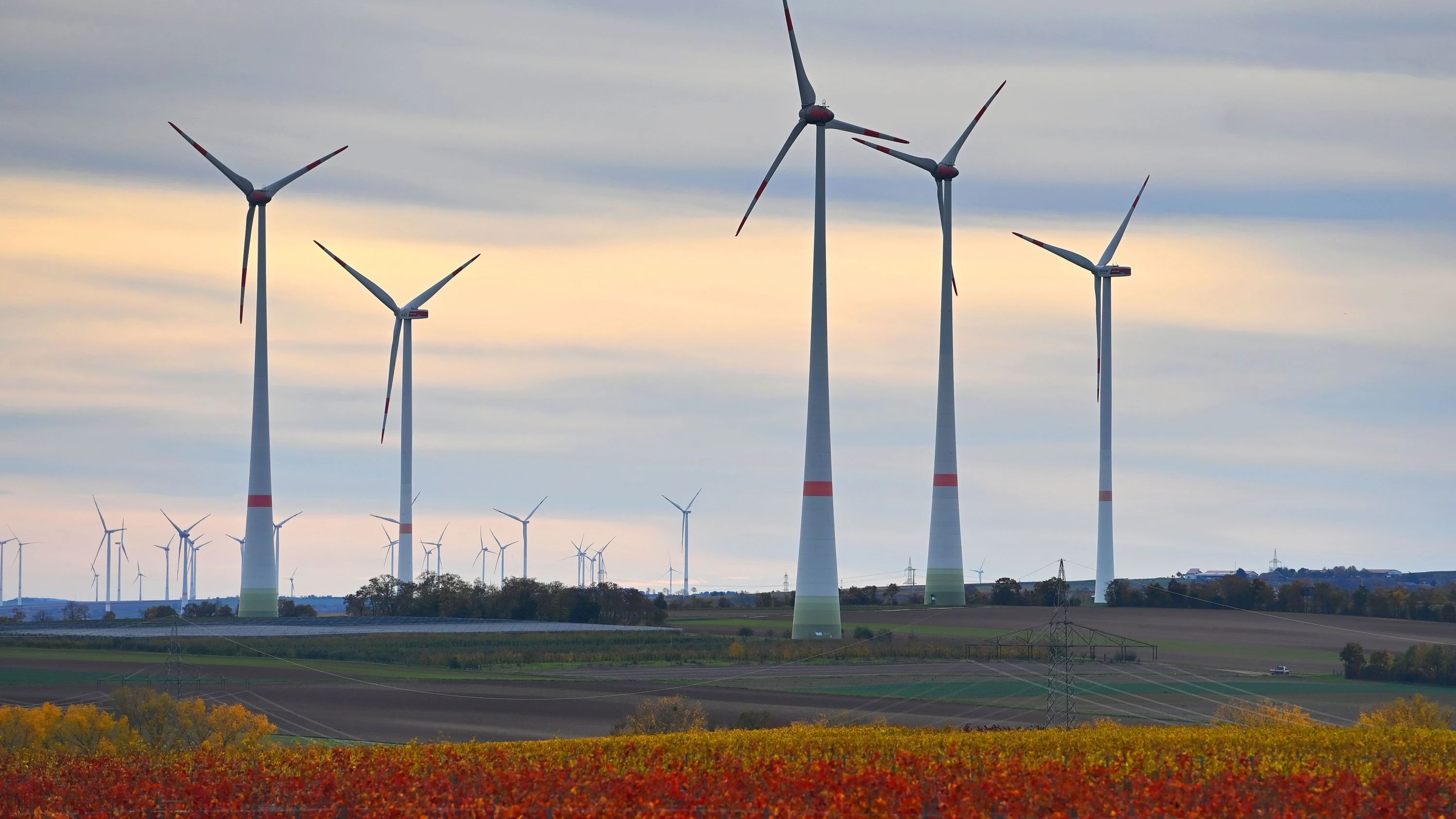Grüner Strom für Rhein-Main: Ein neuer Windpark mit Bürgerbeteiligung