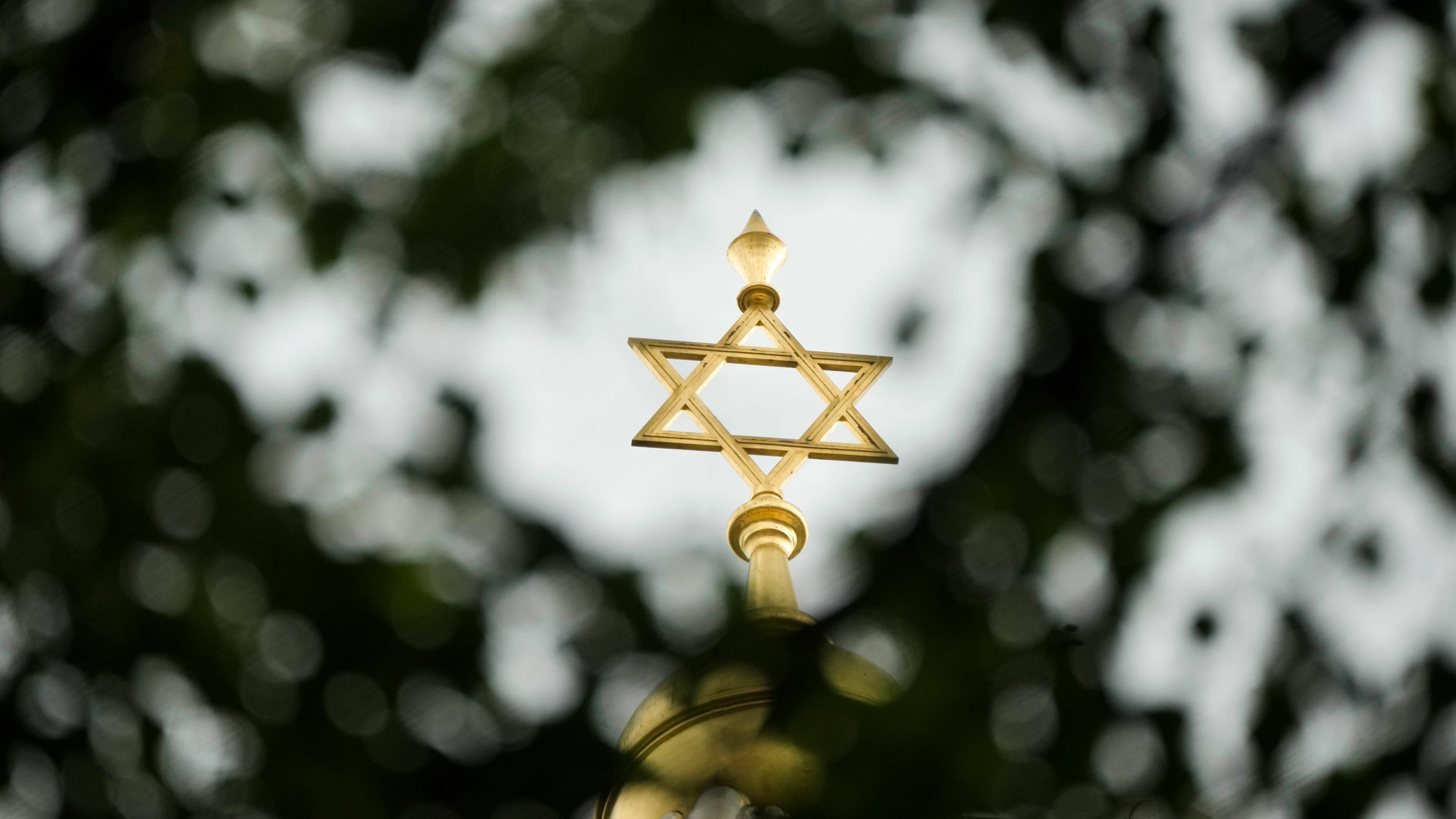 RIAS-Publikation: Wie verbreitet ist Antisemitismus unter Muslimen? RIAS-Publikation: Wie verbreitet ist Antisemitismus unter Muslimen?