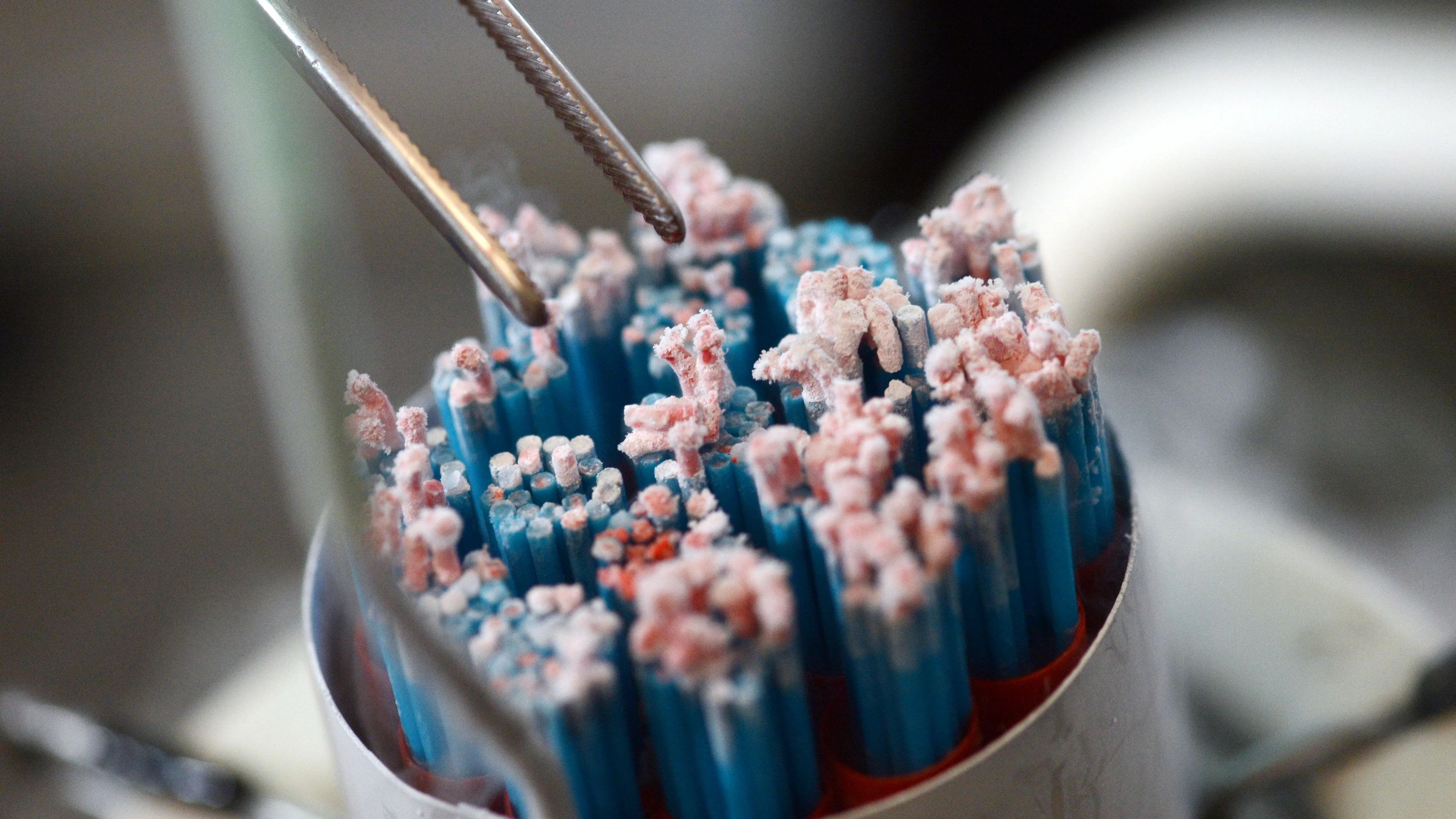 Europaweit Betroffene: Gefährlicher Gendefekt bei Samenspender mit fast 200 Kindern Europaweit Betroffene: Gefährlicher Gendefekt bei Samenspender mit fast 200 Kindern