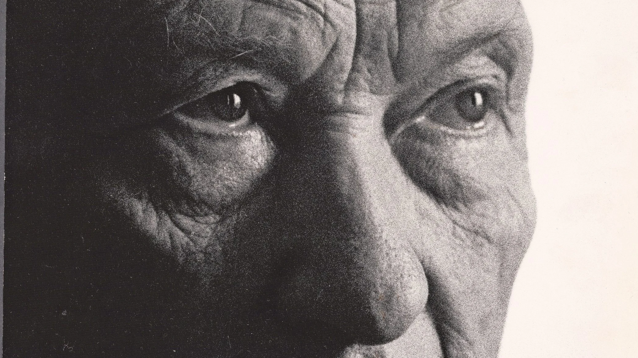 Zum 150. Geburtstag: Am Anfang war Adenauer