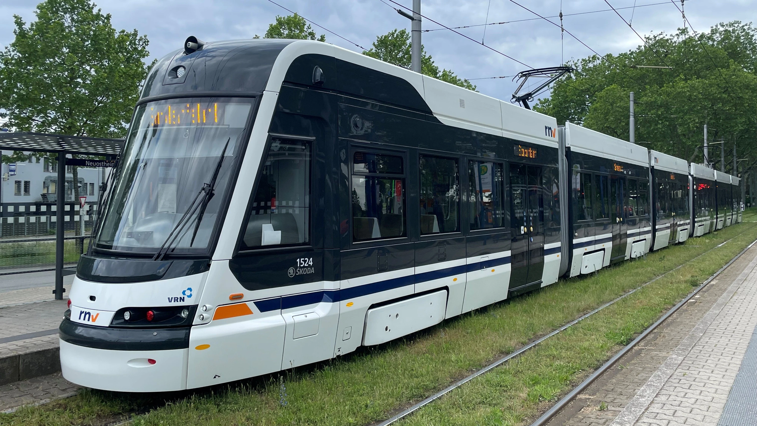 Längste Straßenbahn: Lindwurm am Rhein