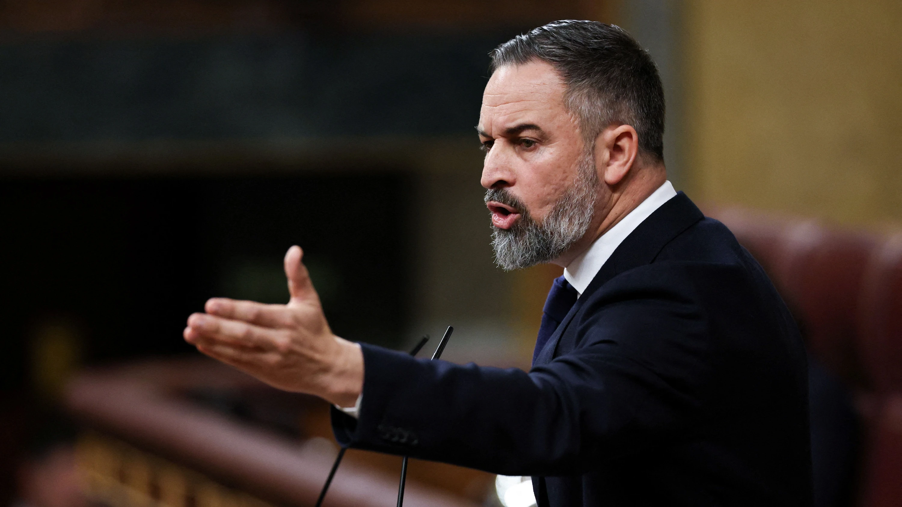 Rechtspopulisten in Spanien: Vox kämpft mit sich selbst Rechtspopulisten in Spanien: Vox kämpft mit sich selbst