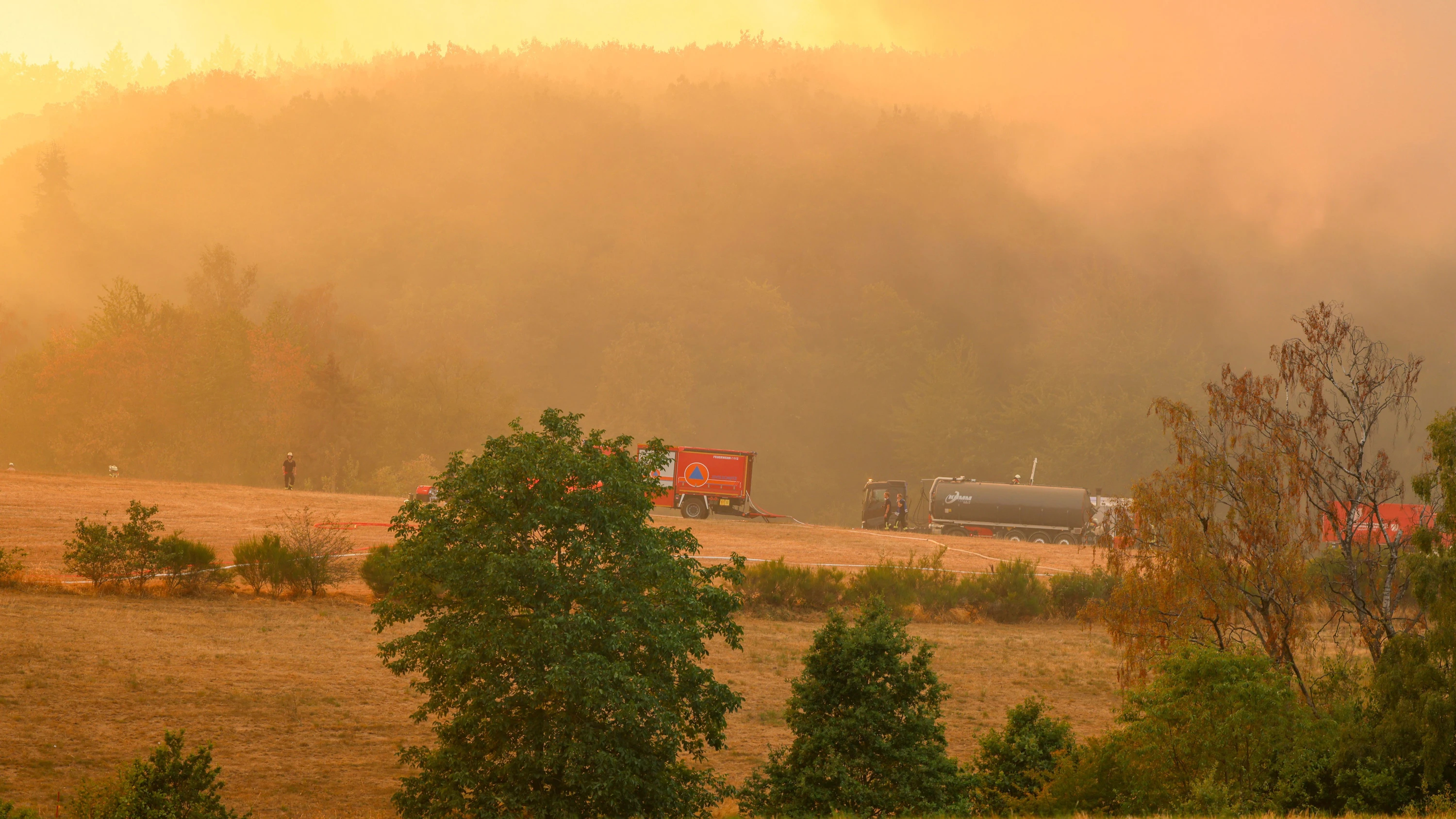 Ein Panzer der Bundeswehr ist auf dem Weg zur Waldbrandbekämpfung bei Hürtgenwald. - dpa