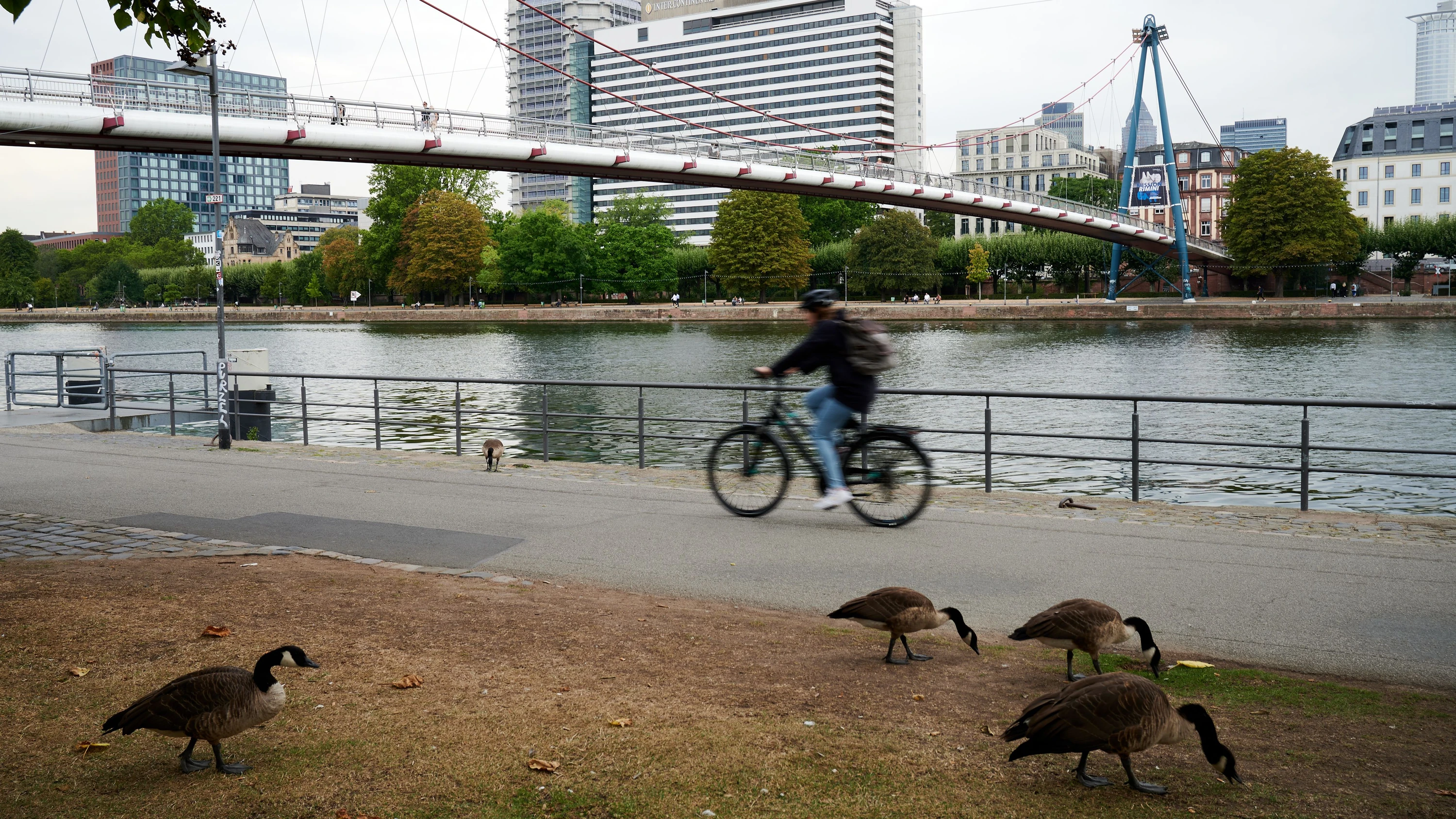Sie kann nicht schwimmen: Mann stößt Freundin in den Main