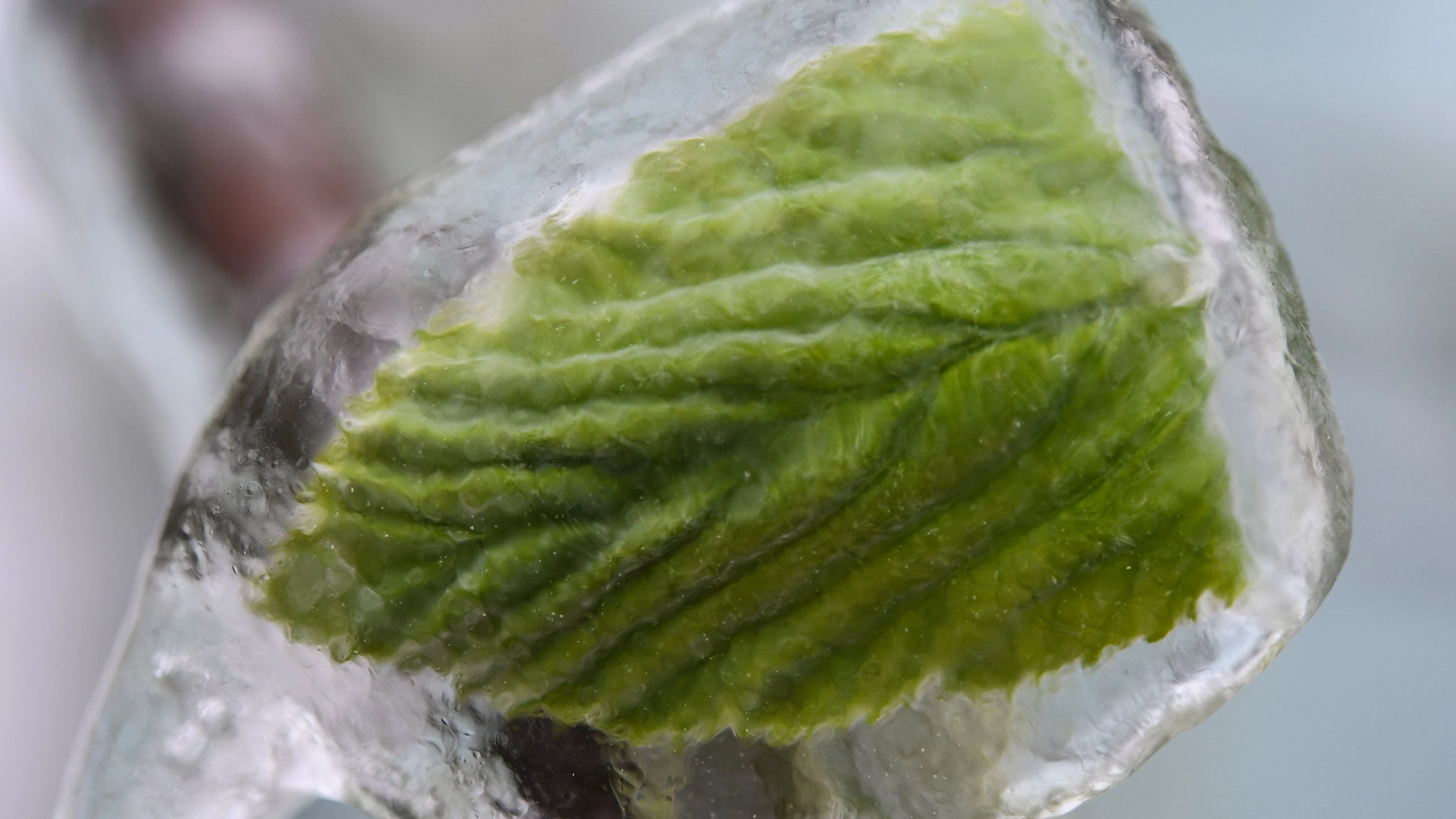 Kalte Sophie 2026: Wie kalt werden die Eisheiligen?