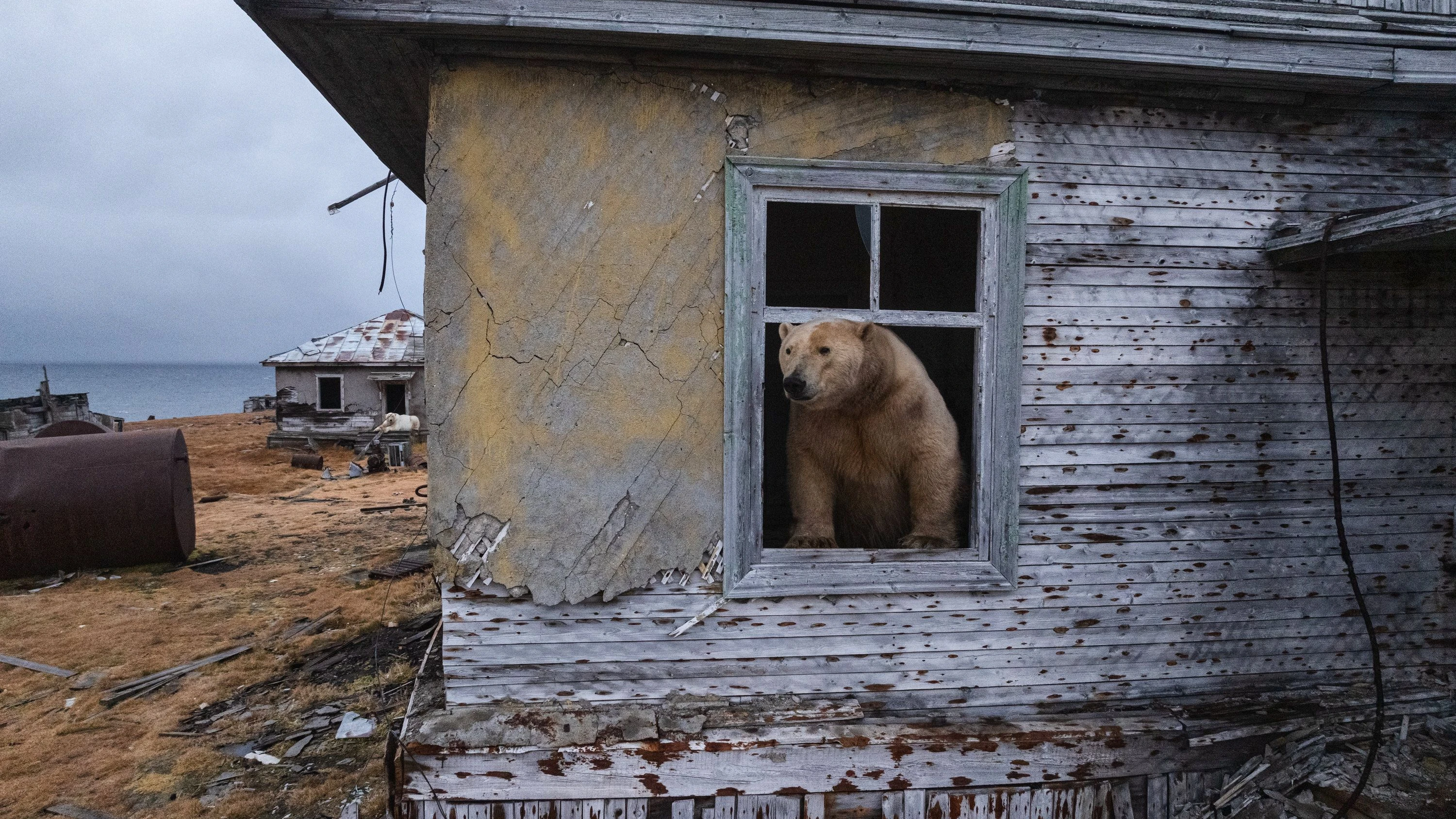 Kolumne „Zurück zur Natur“: Ohne Abstand keine gute Nachbarschaft Kolumne „Zurück zur Natur“: Ohne Abstand keine gute Nachbarschaft
