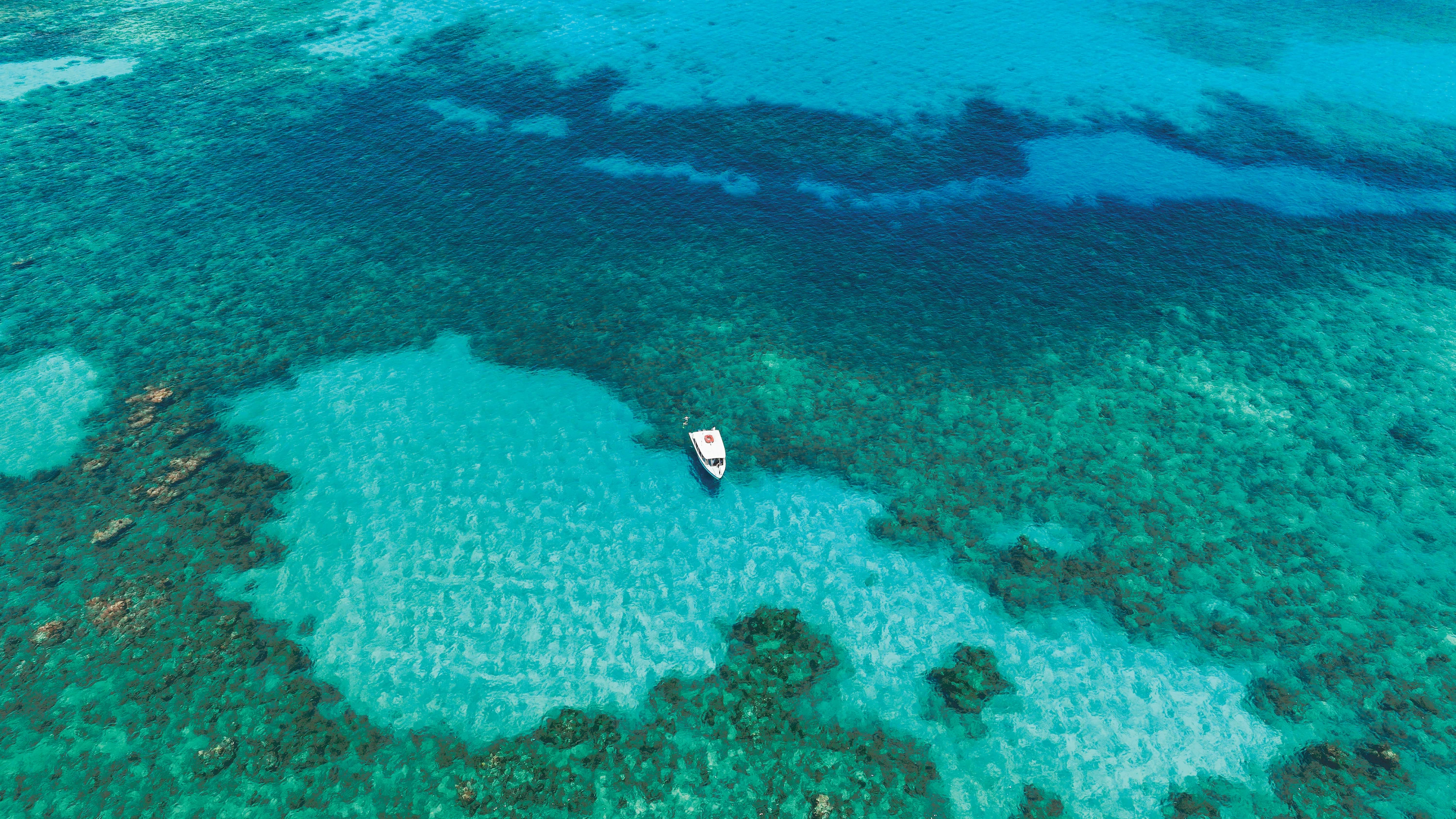 Farbspiel in Azur: An den Riffen vor der Küste Jamaikas lassen sich zahlreiche Fische beobachten. - Sandals