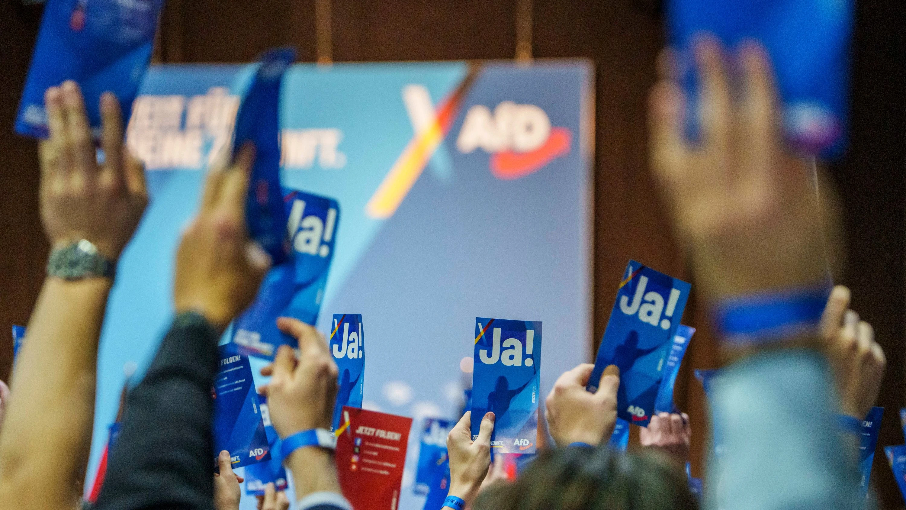 Die Jugend der AfD: Weidel führt Jugend Die Jugend der AfD: Weidel führt Jugend