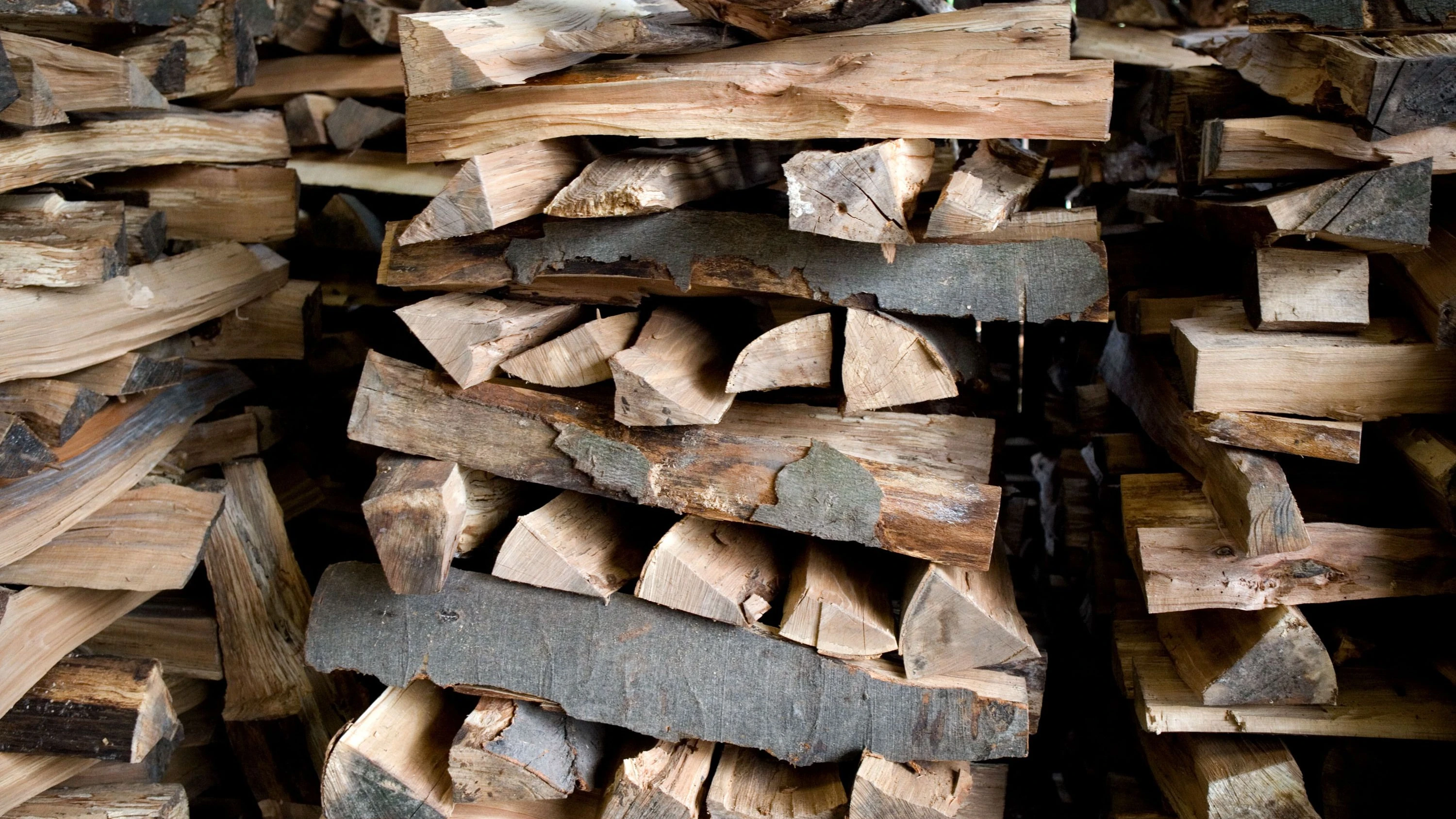 Hohe Nachfrage, stabile Preise: Das Brennholz bleibt knapp
