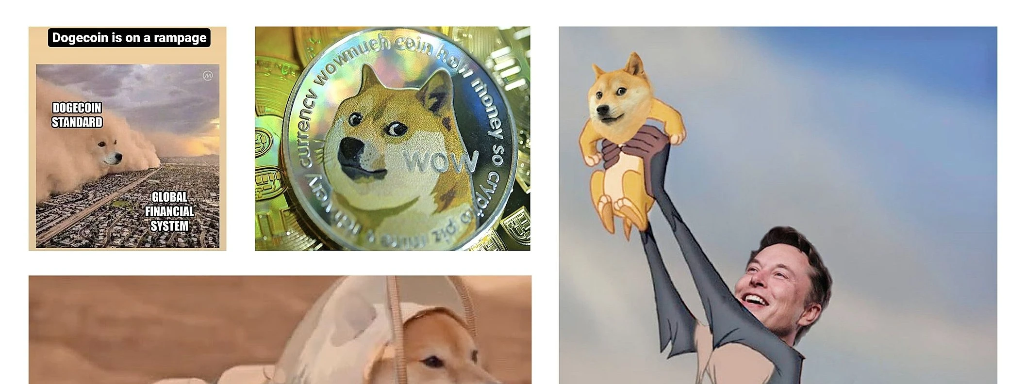 Kryptowährung Dogecoin: Der Milliarden-Dollar-Spaß | FAZ
