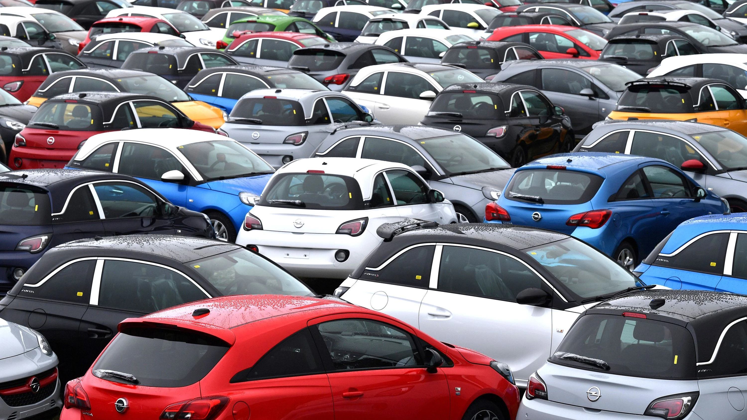 Das Jahr 2026: Frisches Steingrün Das Jahr 2026: Frisches Steingrün