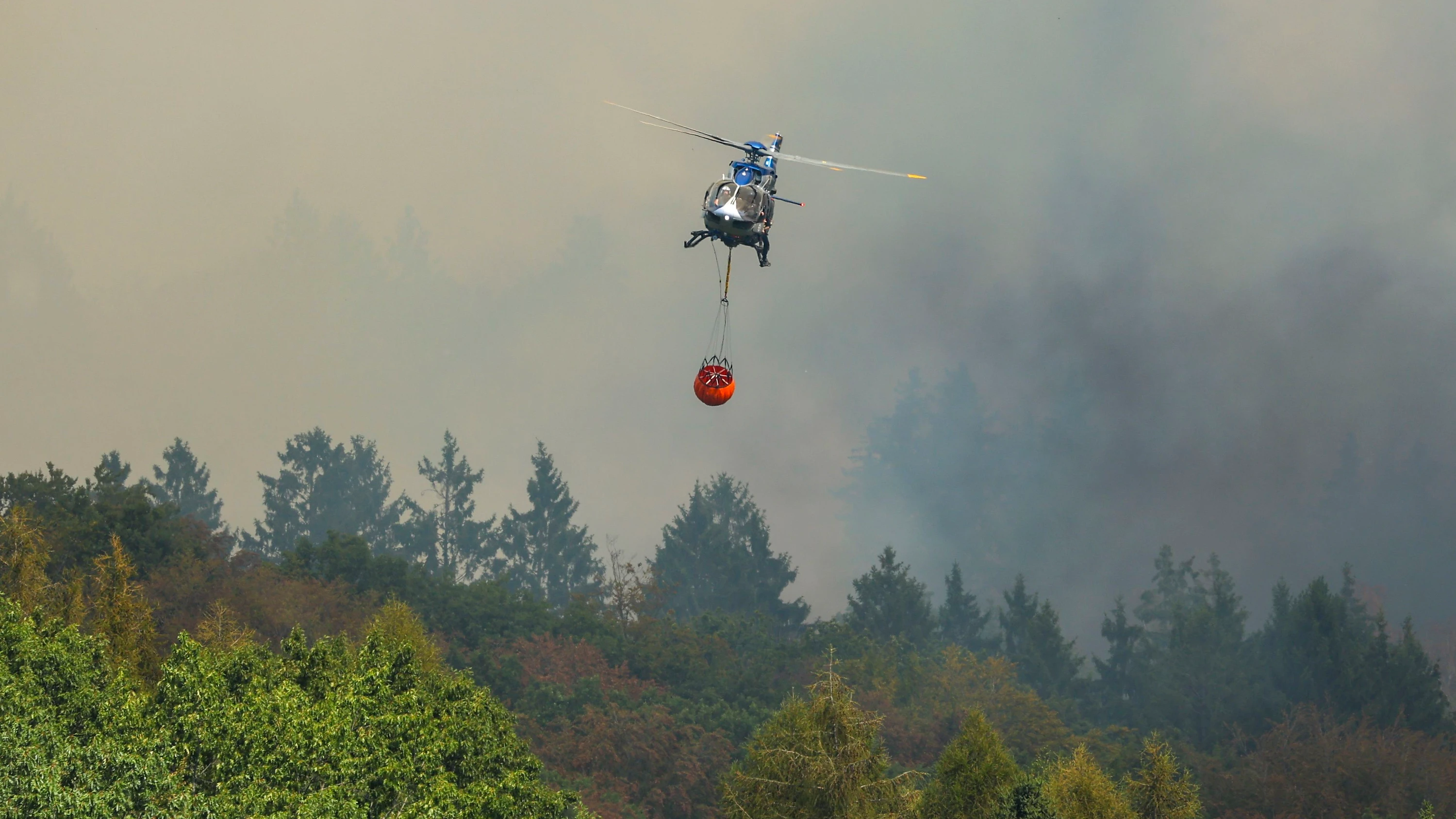 Brand im Hürtgenwald: „Größter Waldbrand in der Geschichte Nordrhein-Westfalens“