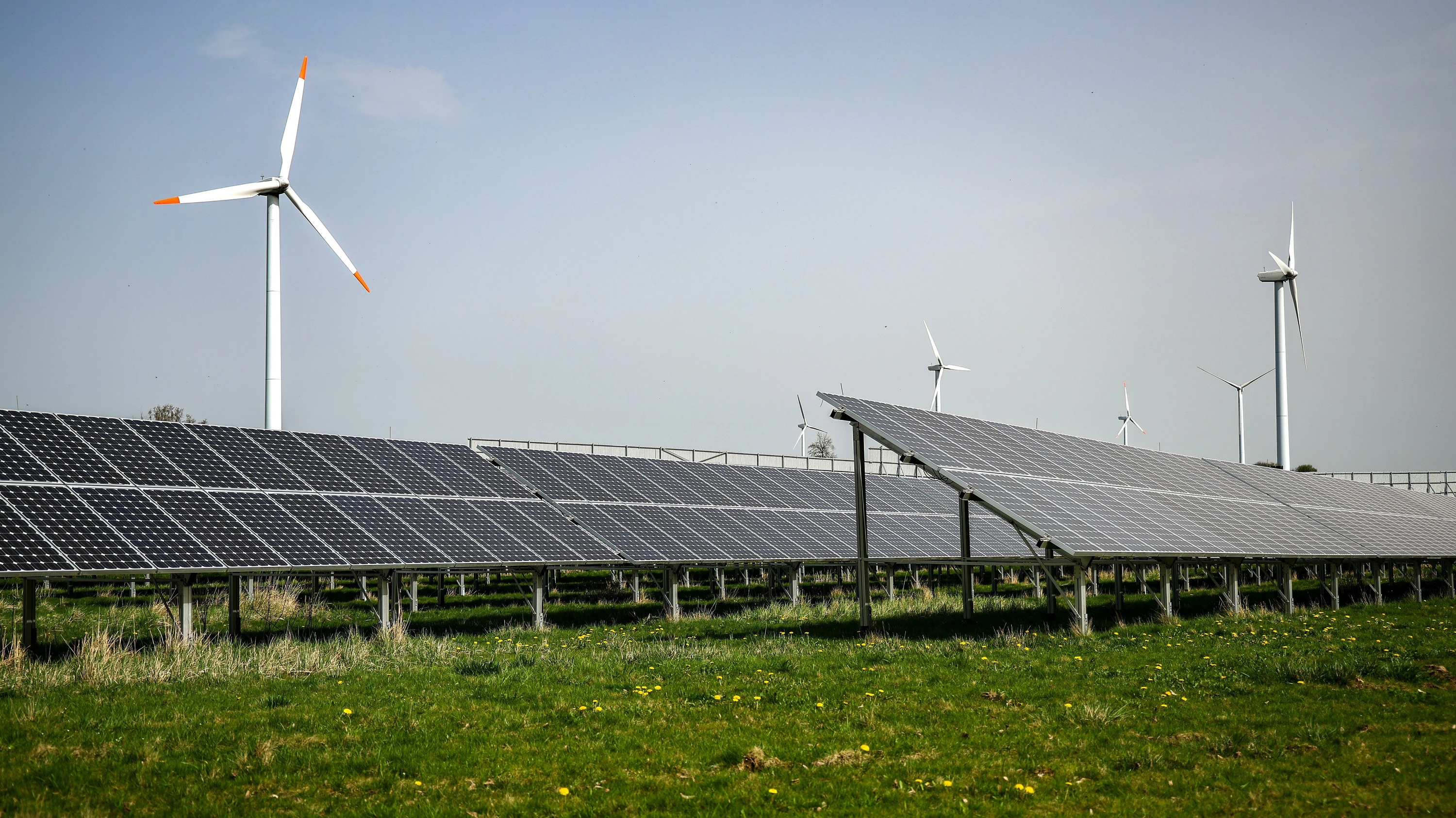 Sachwerte: Der ELTIF am Scheideweg