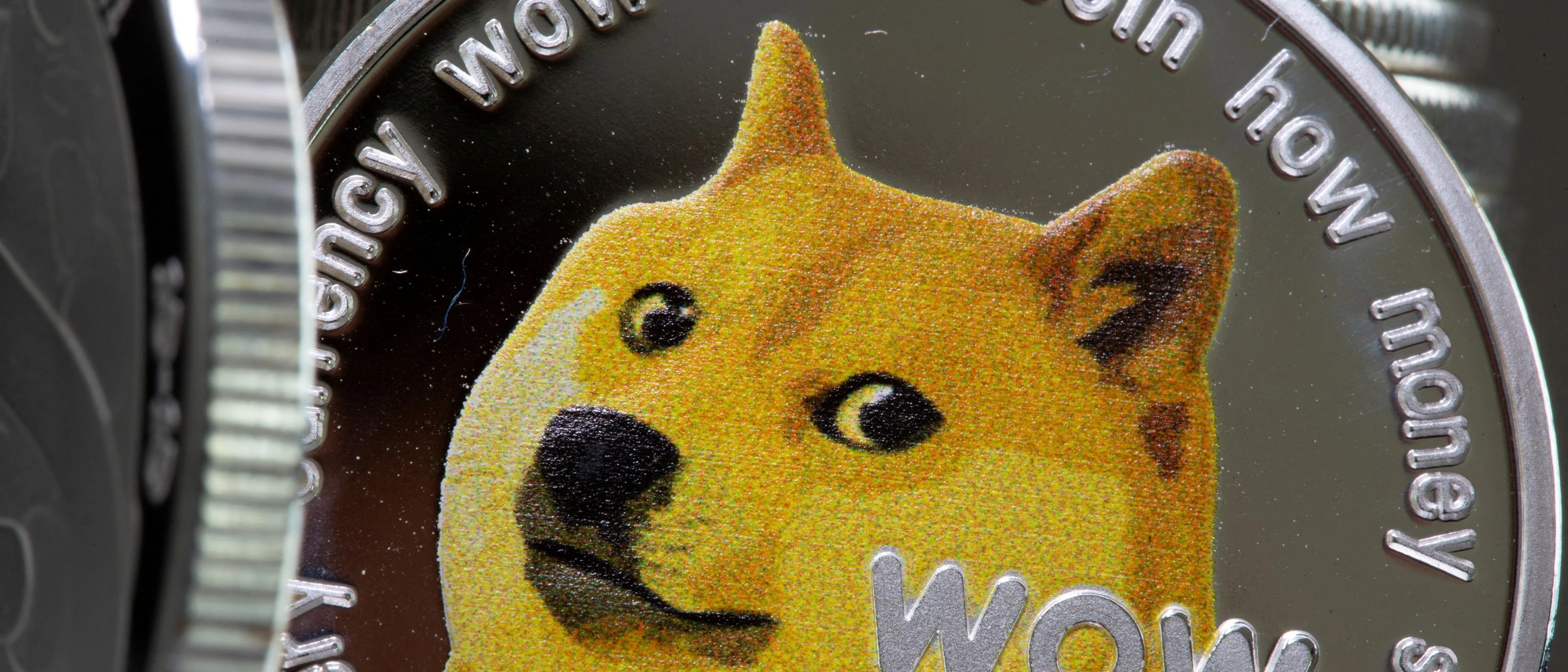 Kryptowährung: Die sinnlose Anlage Shiba Inu mit dem Hundelogo | FAZ