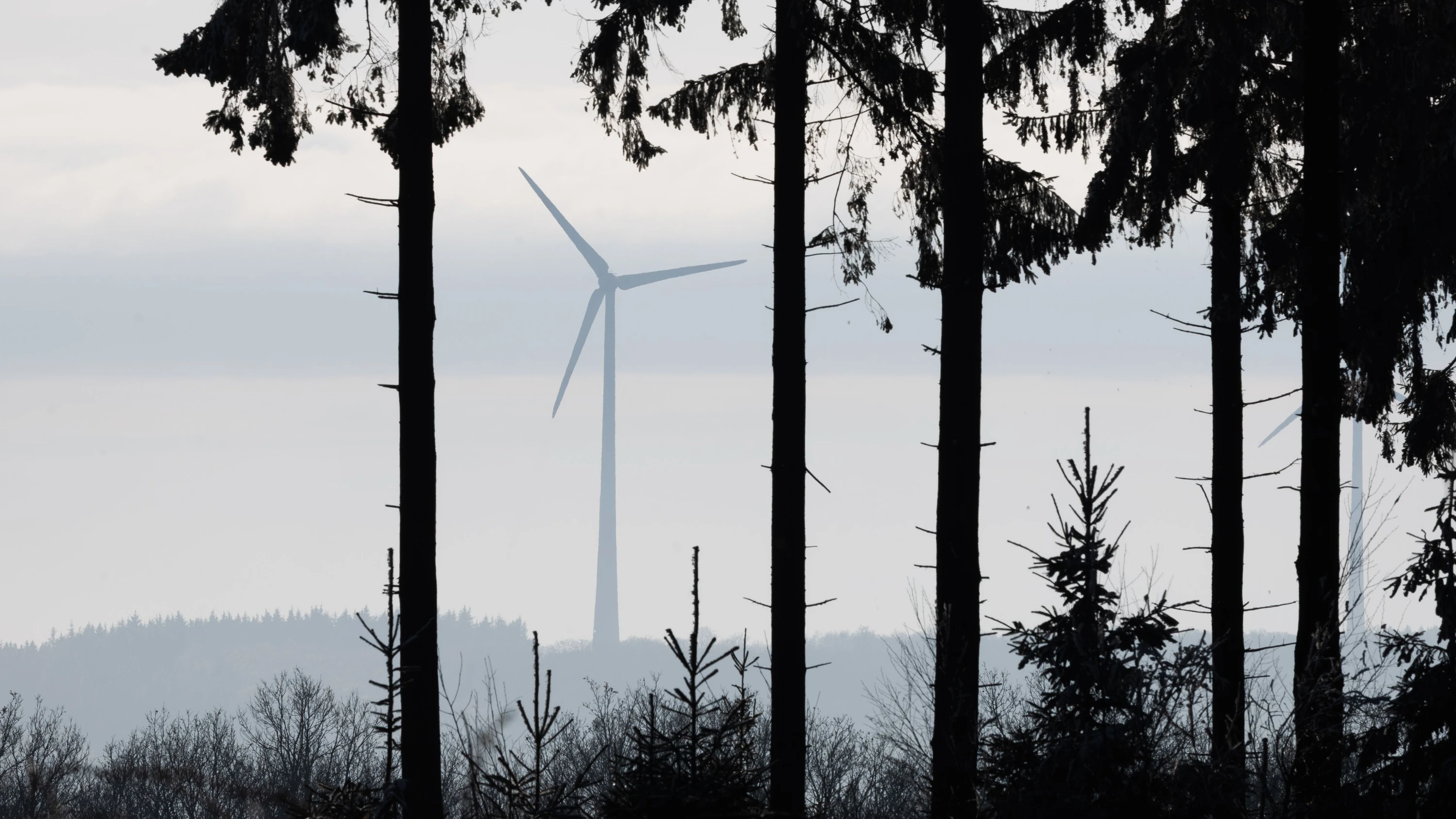 AfD-Veranstaltung: Der Wind weht von rechts