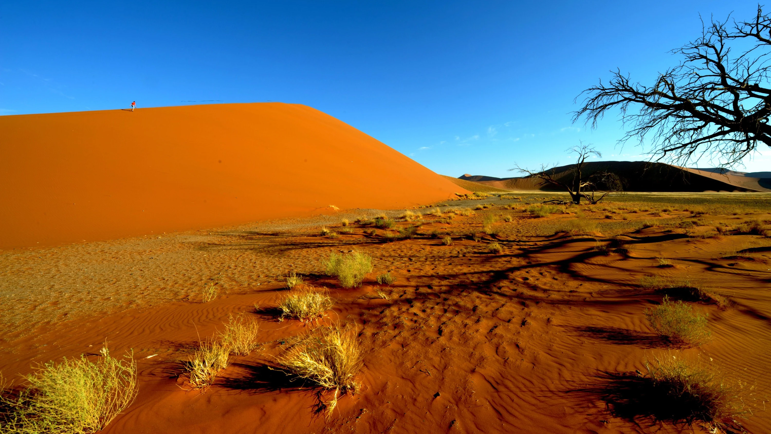 Bild: „Keine Überlebenden“: Drei Deutsche kommen bei Flugzeugabsturz in Namibia ums Leben