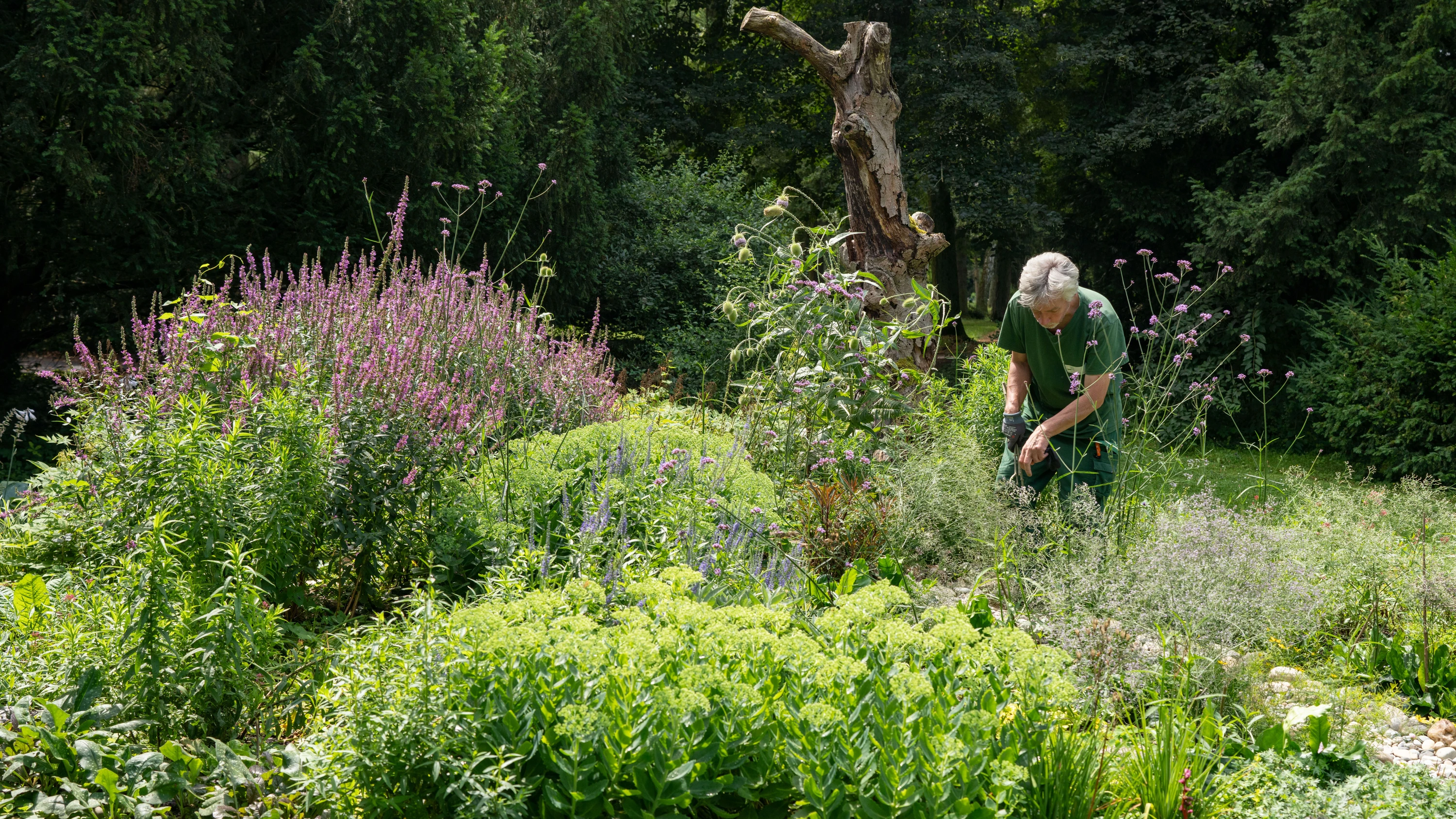 Wohnungsbau in Frankfurt: „In sechs Jahren 80 Hektar Grünflächen eingebüßt“