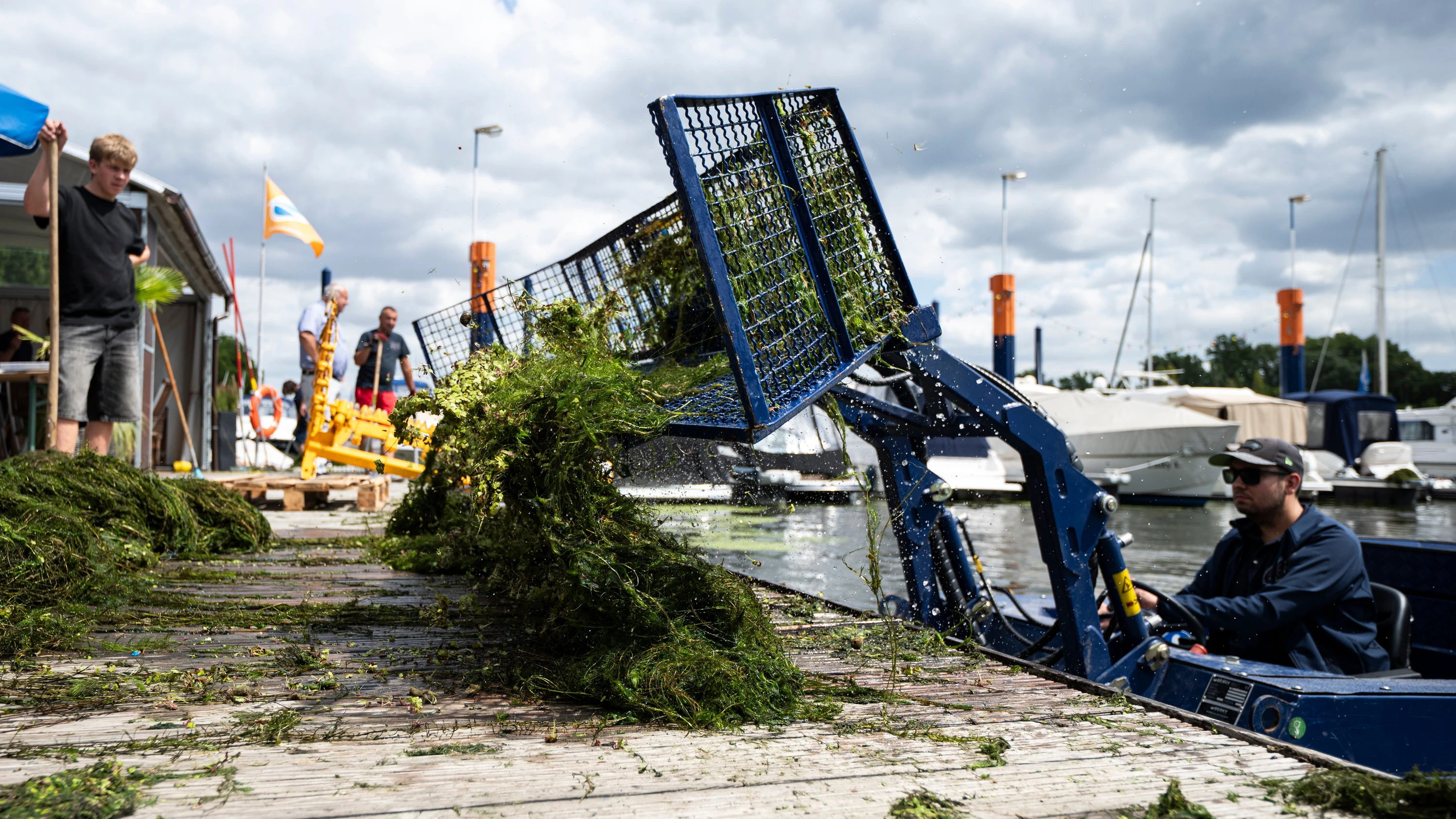 Invasive Pflanzenart: Mit Booten und Mistgabeln gegen die Wasserpest
