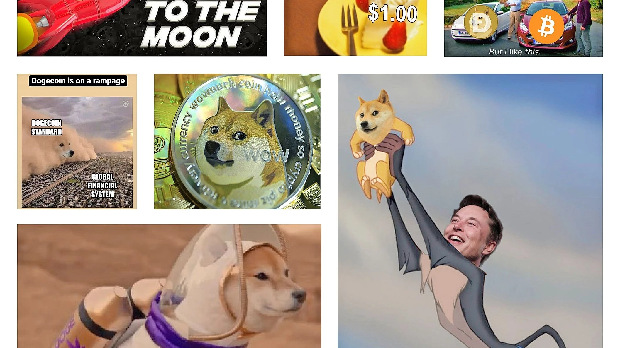 Kryptowährung Dogecoin: Der Milliarden-Dollar-Spaß | FAZ