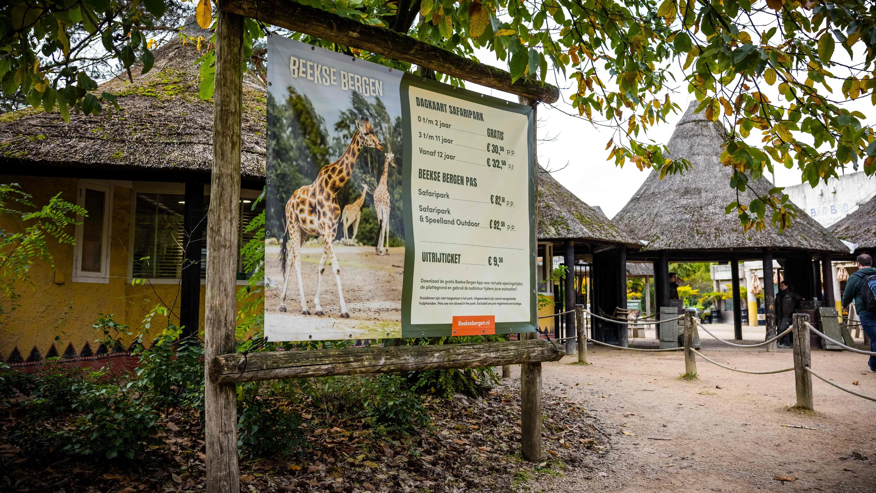 In den Niederlanden: Tierpflegerin stirbt nach Leoparden-Angriff in Zoo