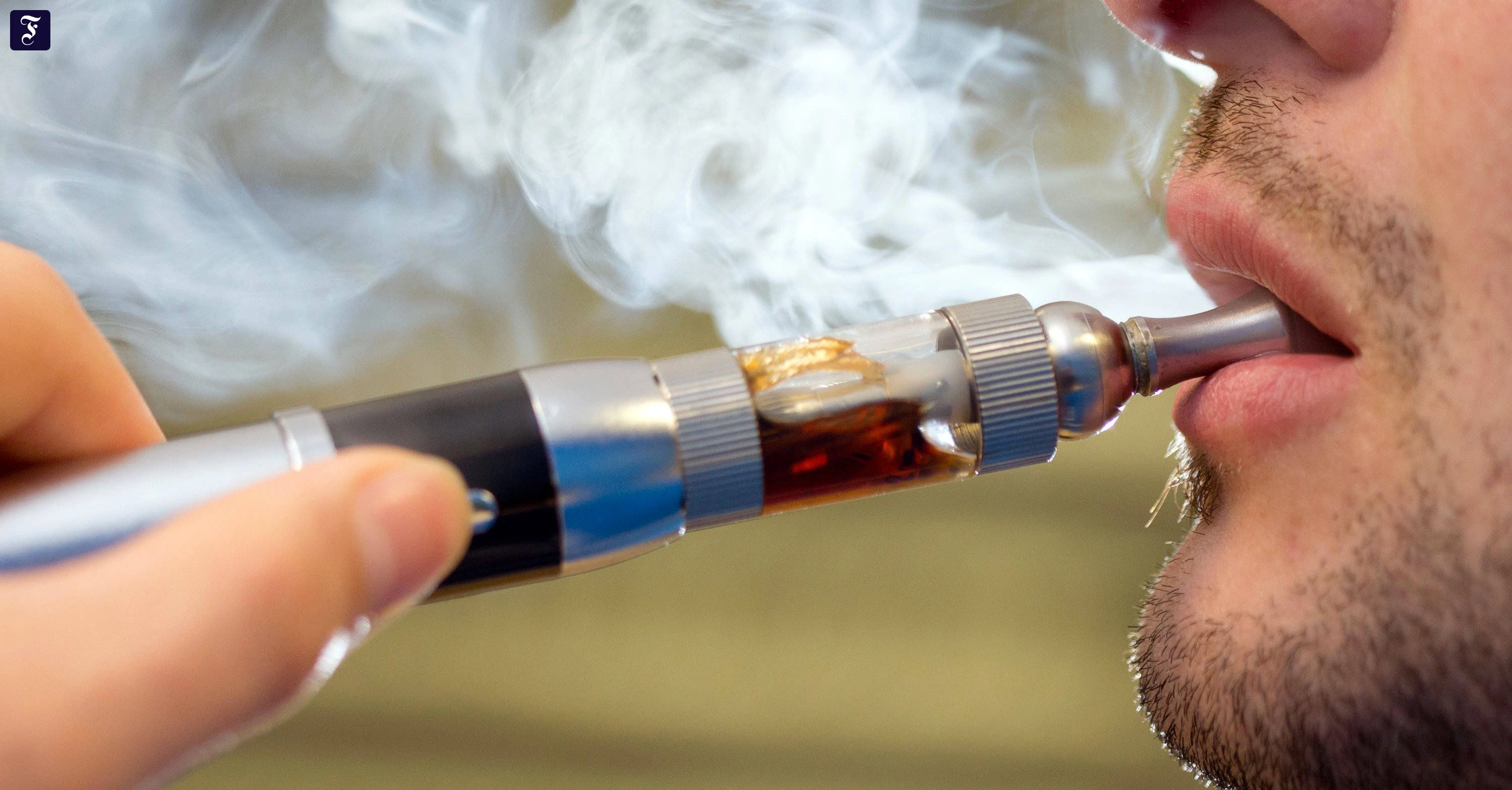 elfbar elfa master akku Madvapes