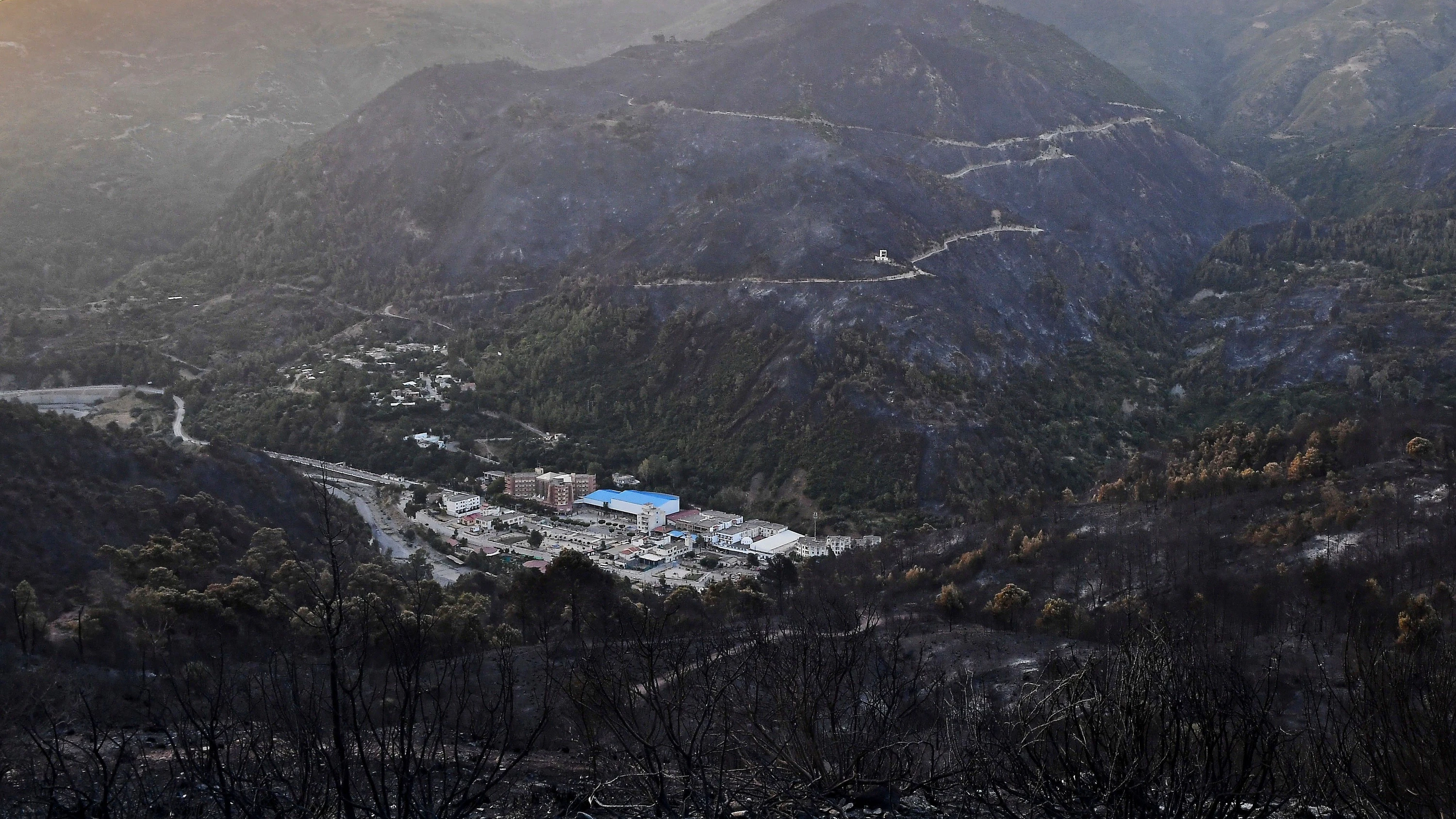 Bild: An der Mittelmeerküste: Zahlreiche Waldbrände wüten in Algerien