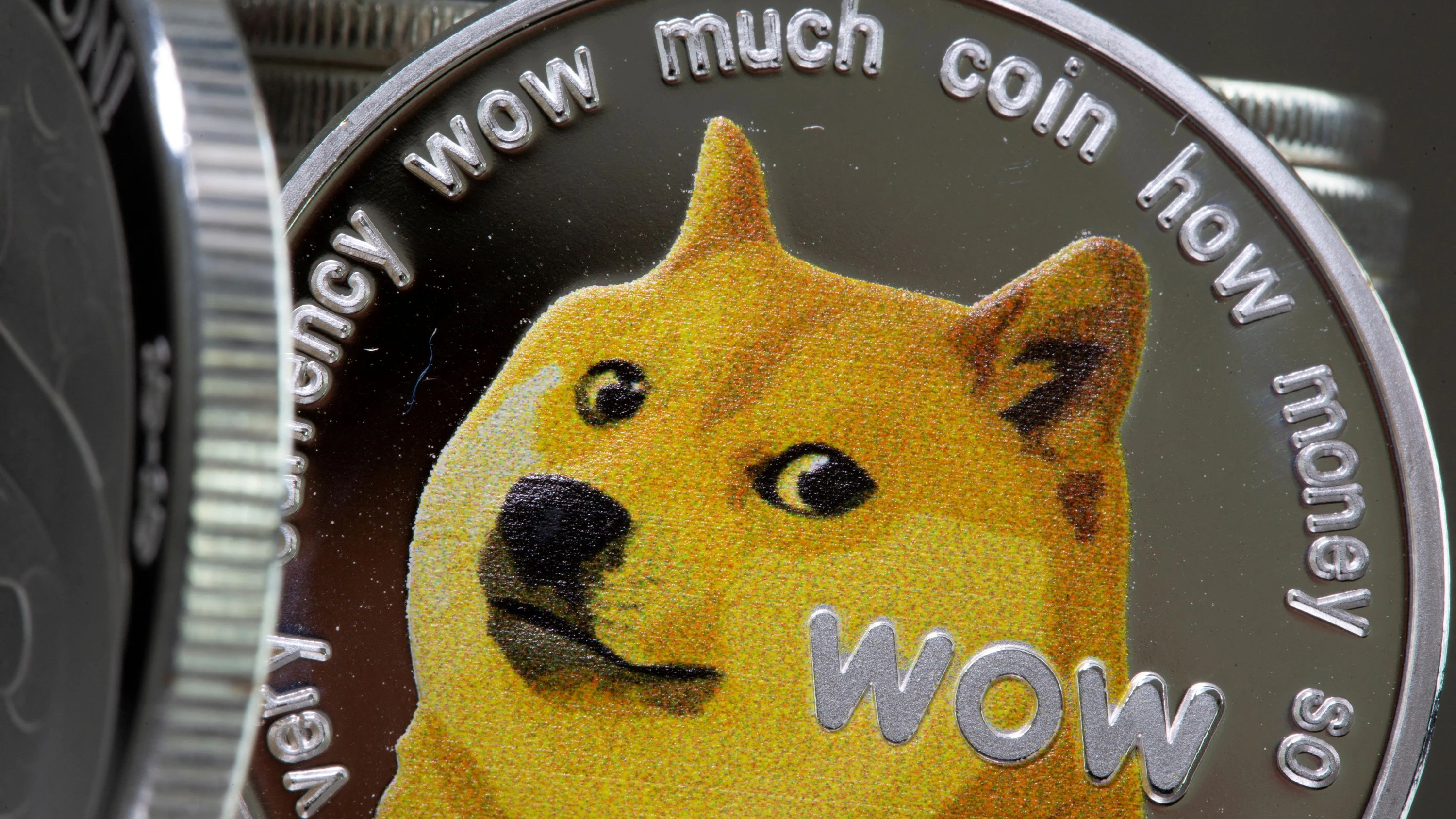 Kryptowährung: Die sinnlose Anlage Shiba Inu mit dem Hundelogo | FAZ