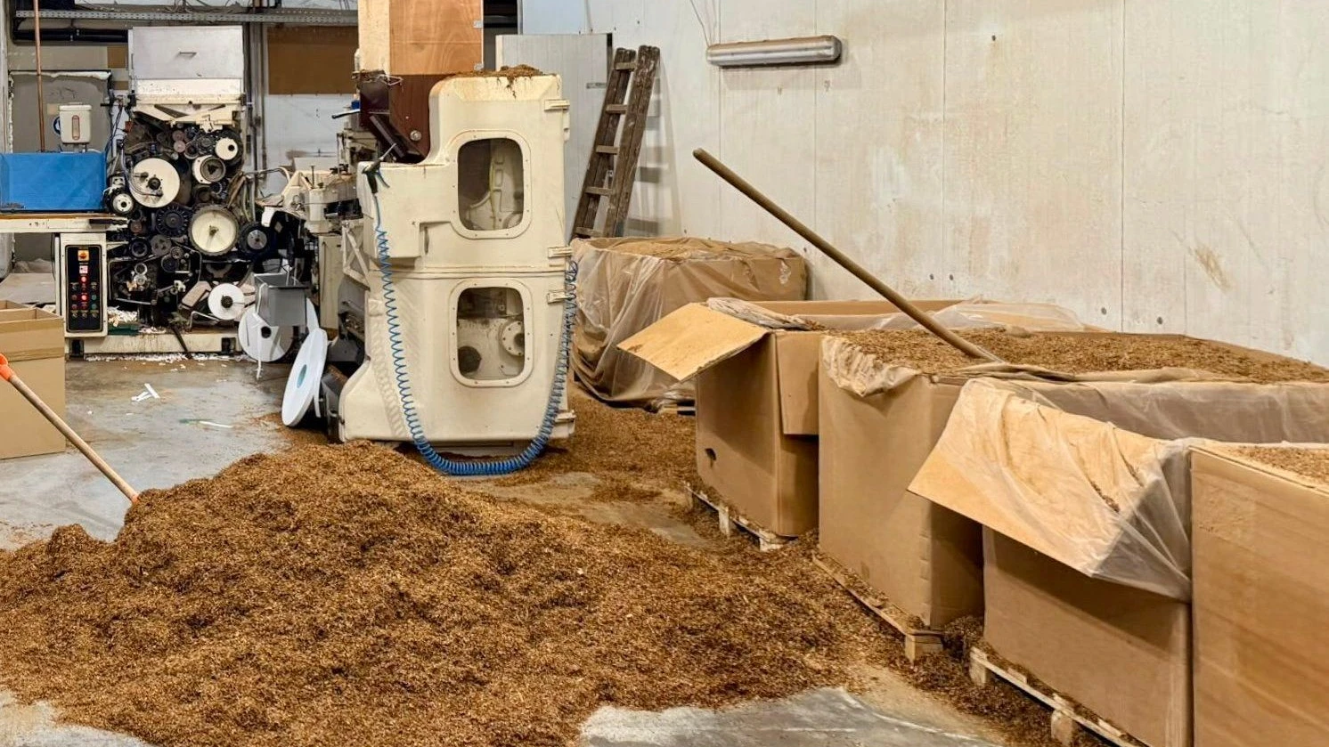 Tabaksteuererhöhung: Staatsverdrossene rauchen illegale Zigaretten