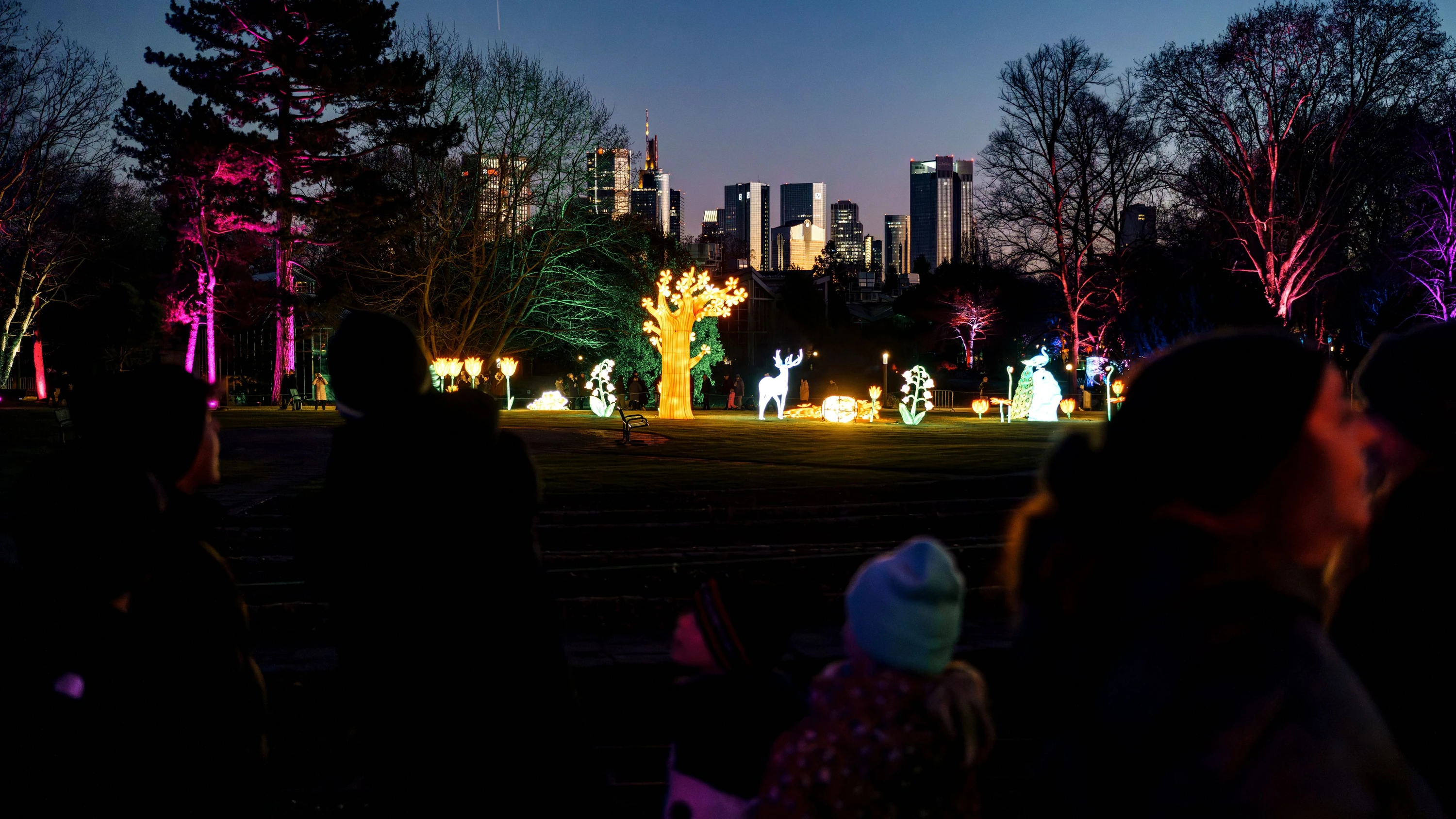 Winterlichter im Palmengarten: Bunte Lichterwelt vor dunklem Winterhimmel