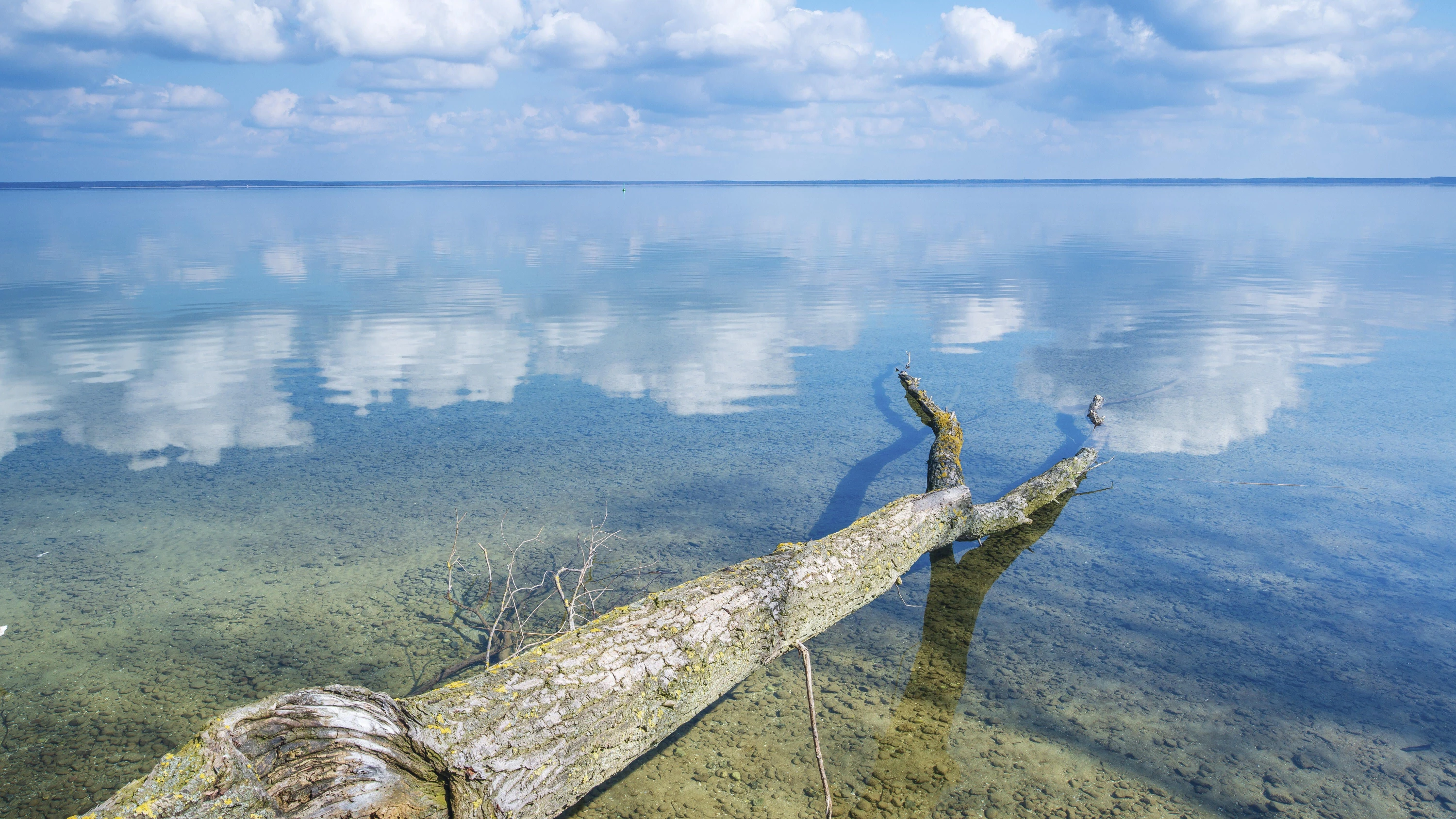 Roman „Das Wasser im August“: Wehmütig, aber nicht resigniert