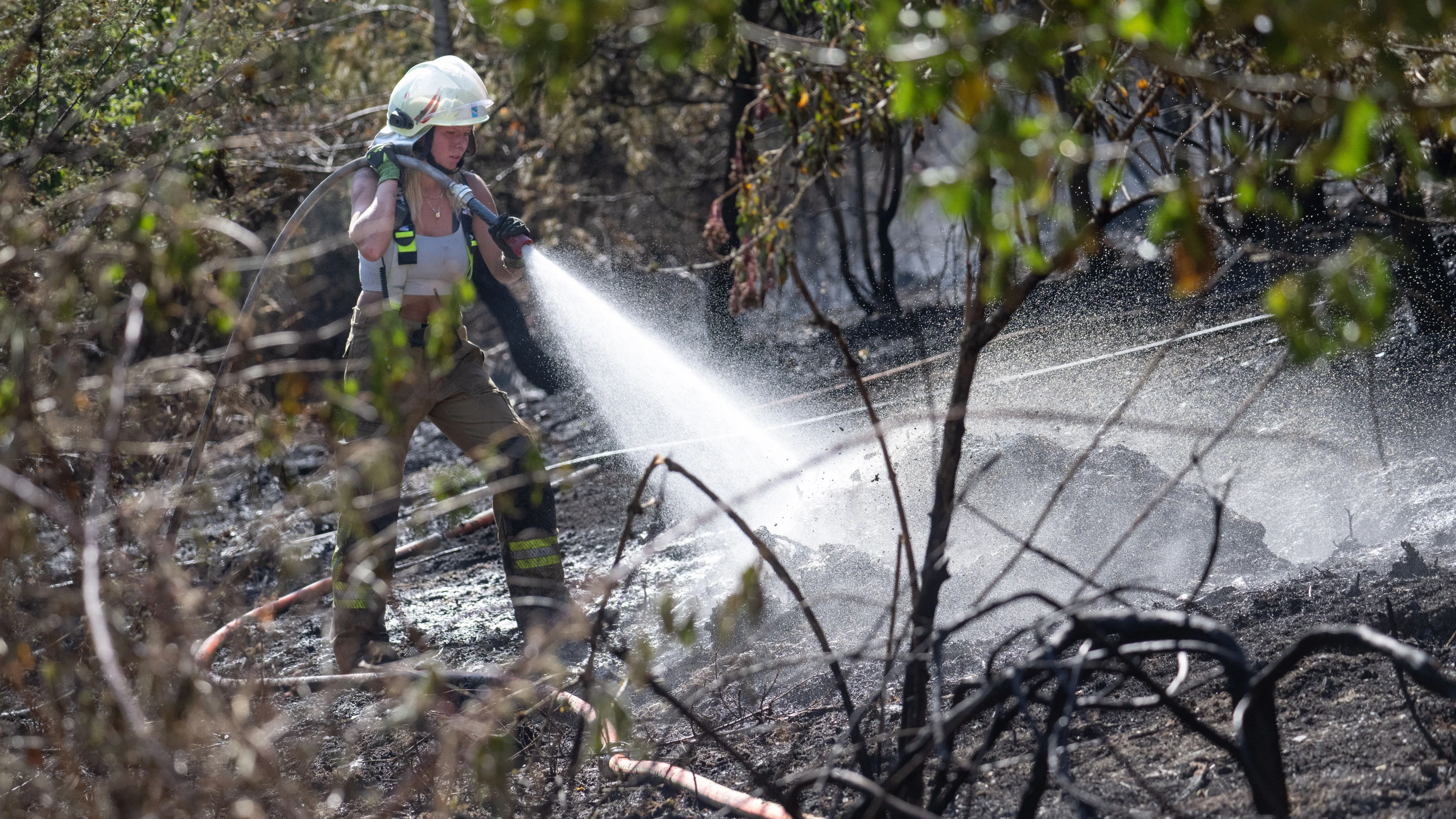 Rhein-Main-Liveblog: Waldbrandgefahr in Hessen sinkt