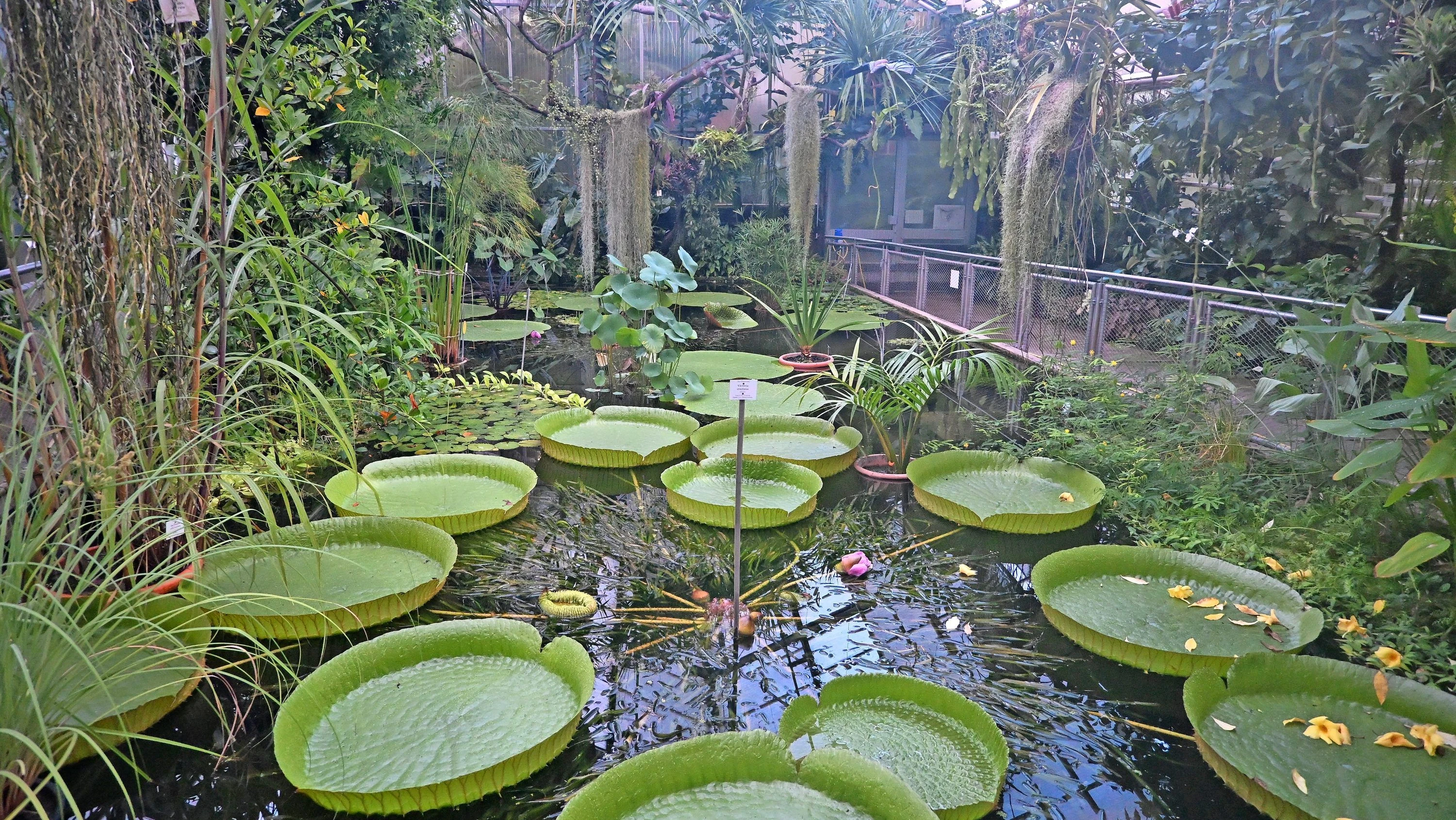 Botanische Gärten: In diesem Garten küsste Goethe die Muse