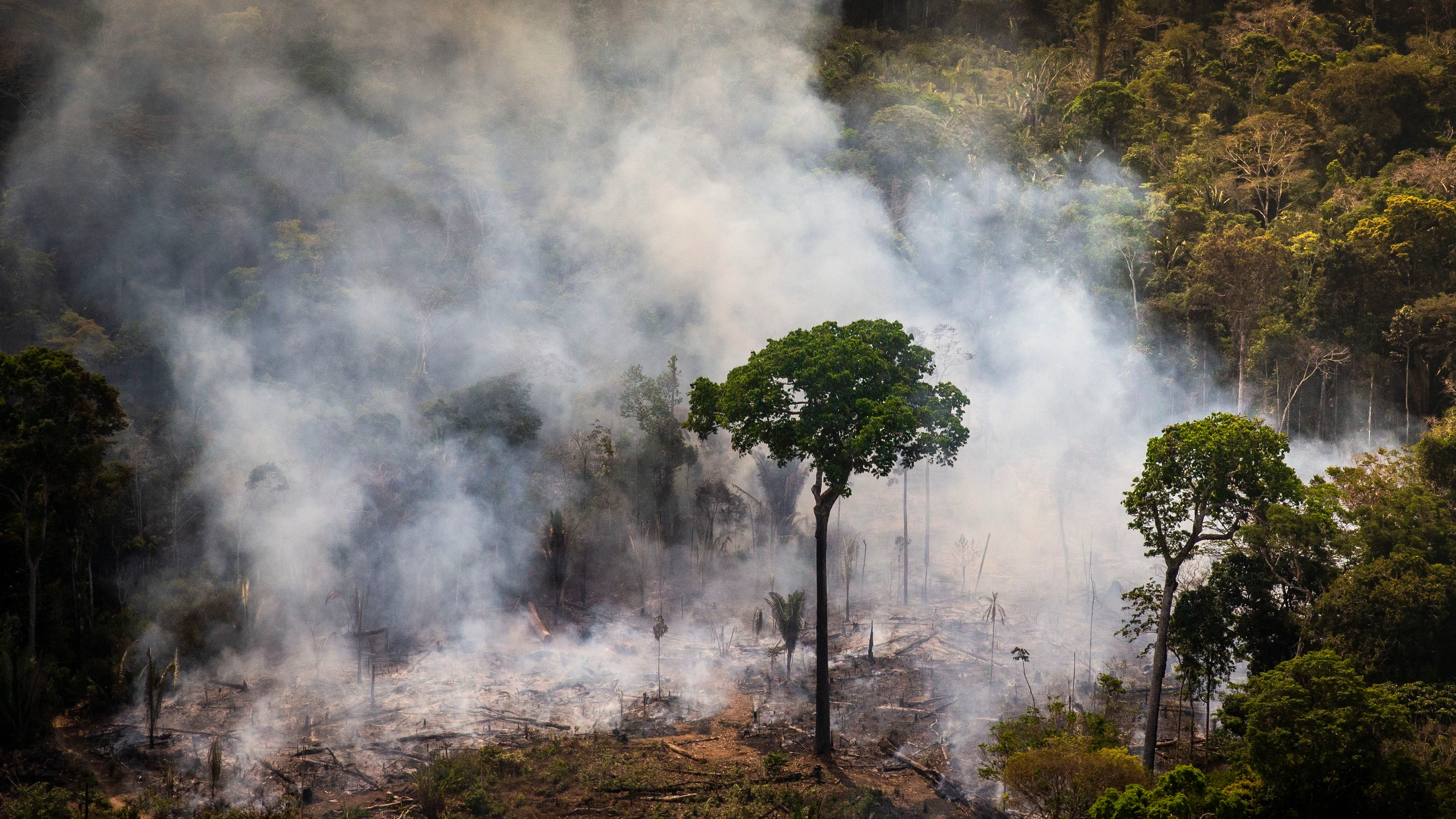 OECD-Umweltbericht: Wenn die Umweltkrisen eskalieren