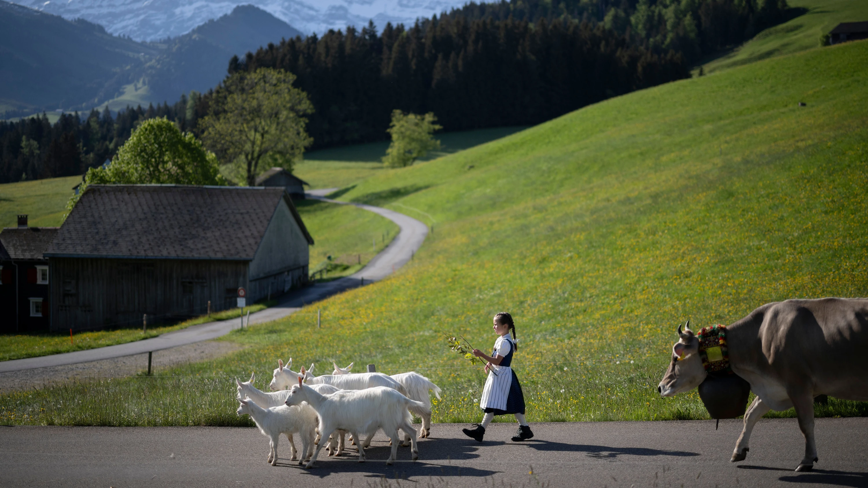 Debatte um Zuwanderung: „Die Schweiz ist auf ausländische Fachkräfte angewiesen“ Debatte um Zuwanderung: „Die Schweiz ist auf ausländische Fachkräfte angewiesen“