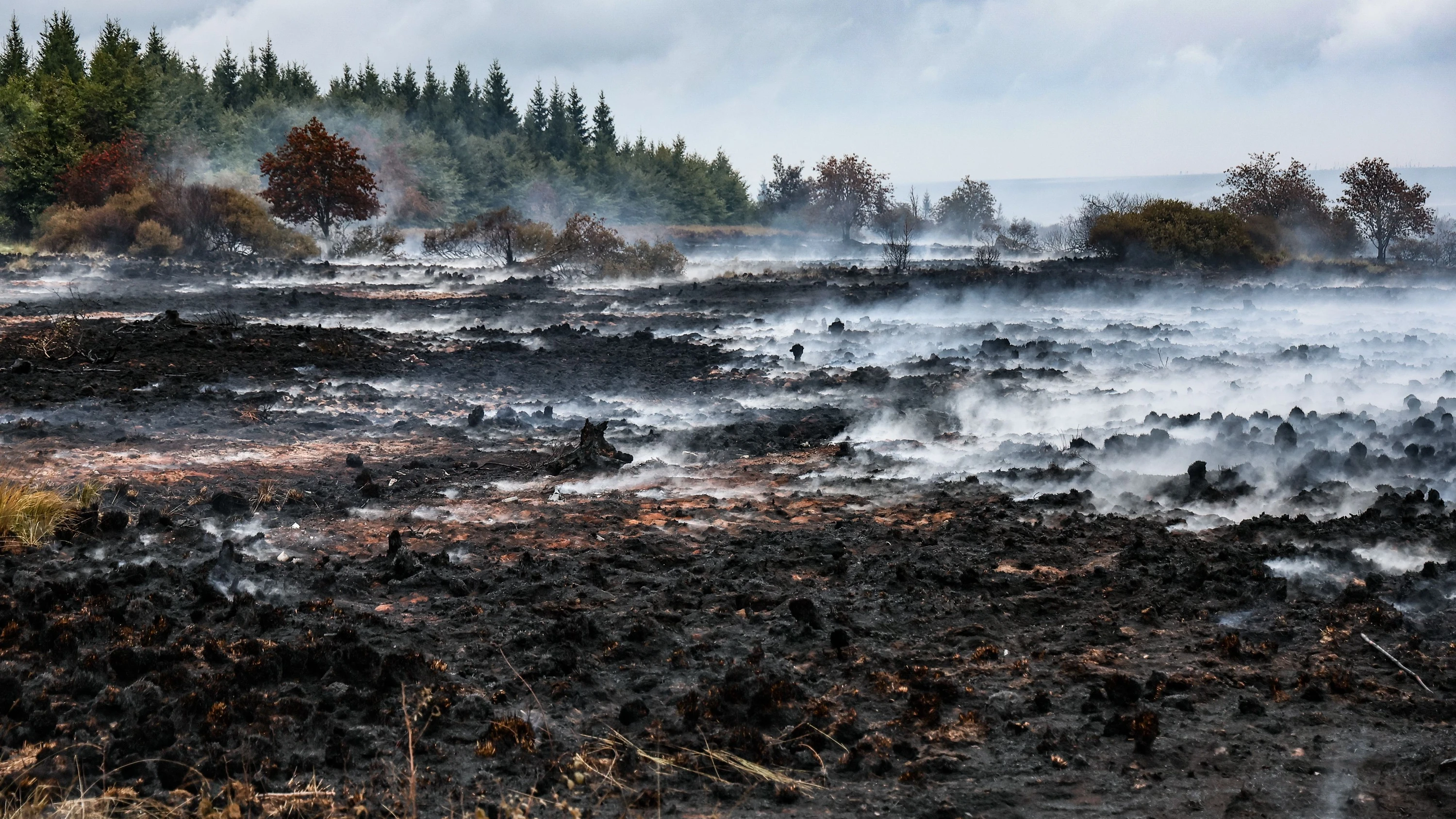 Brandgebiet Hohes Venn: Sie wollen das Feuer komplett einkreisen