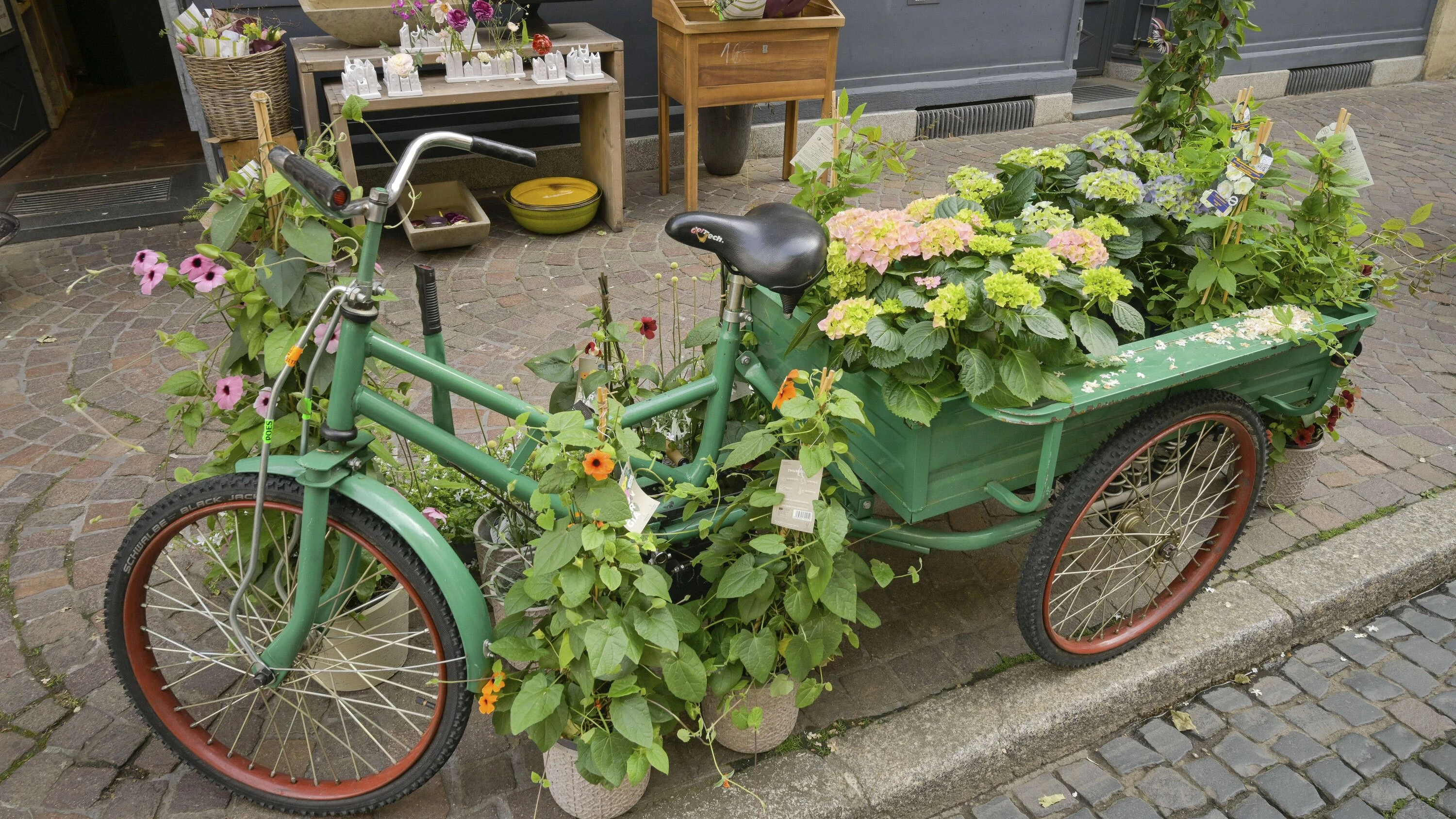 Wahlen in Baden-Württemberg: Warum die Freiburger Grünen in einer Identitätskrise stecken