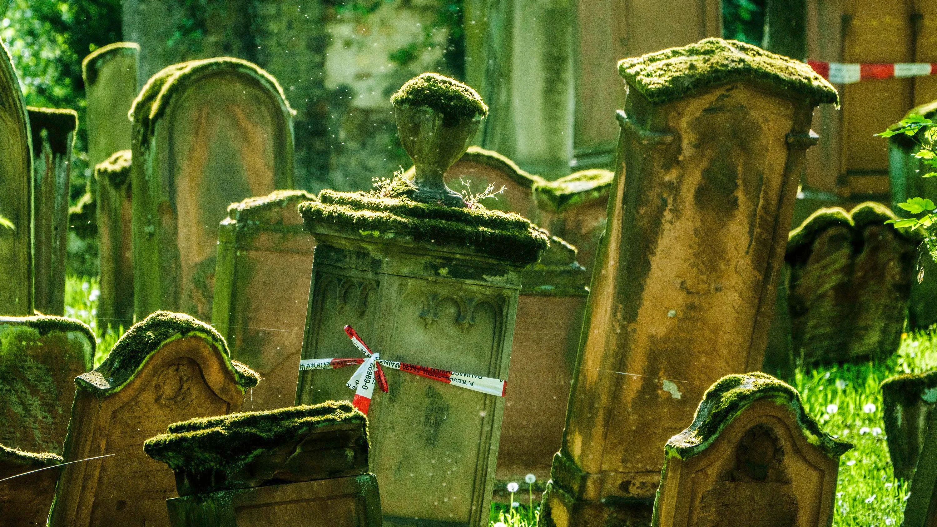 Unesco-Welterbe: Neues Besucherzentrum für den alten Mainzer Judenfriedhof