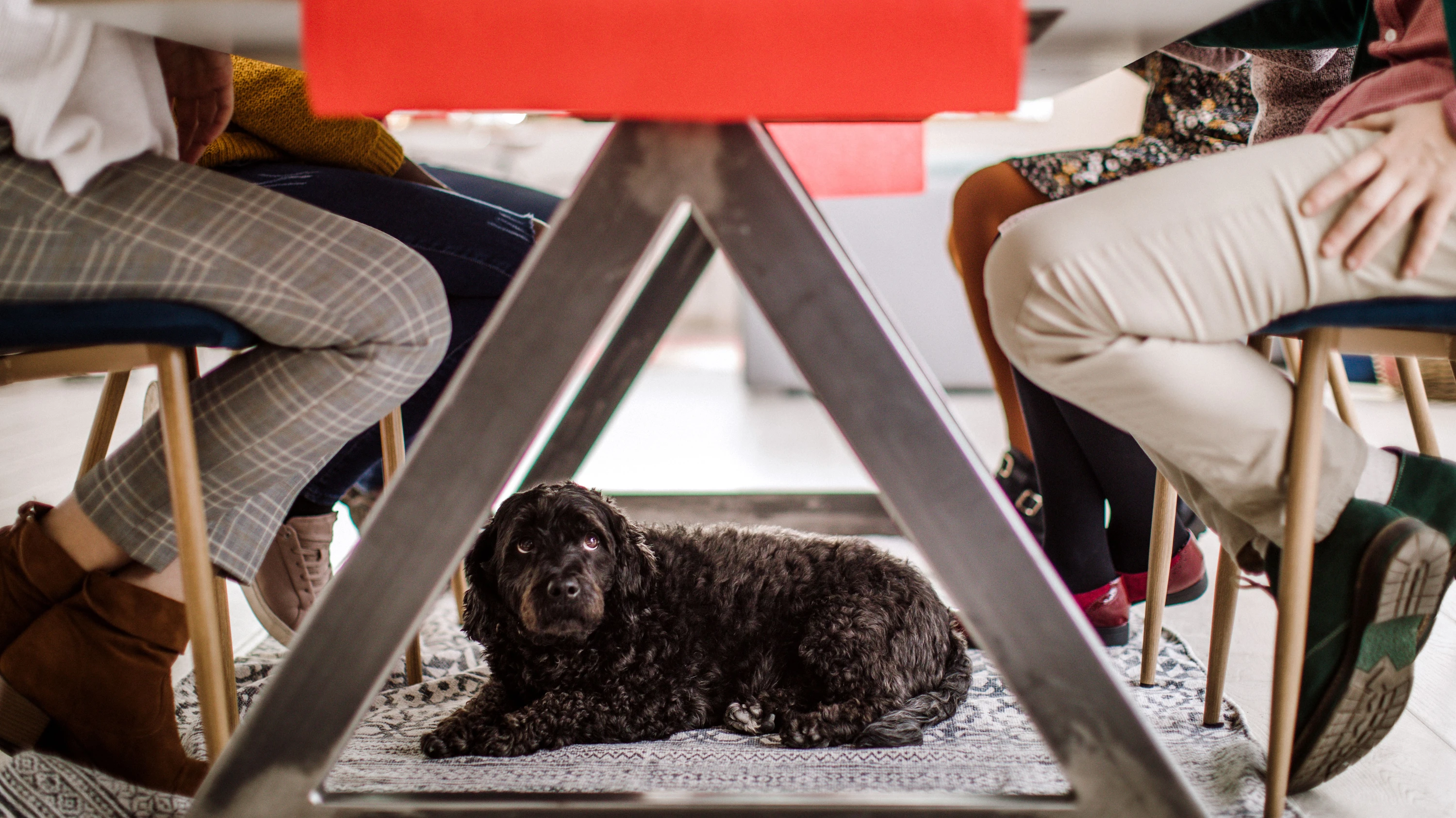 Hier ist einiges verbesserungswürdig, vor allem der zu kleine Teppich. - iStock