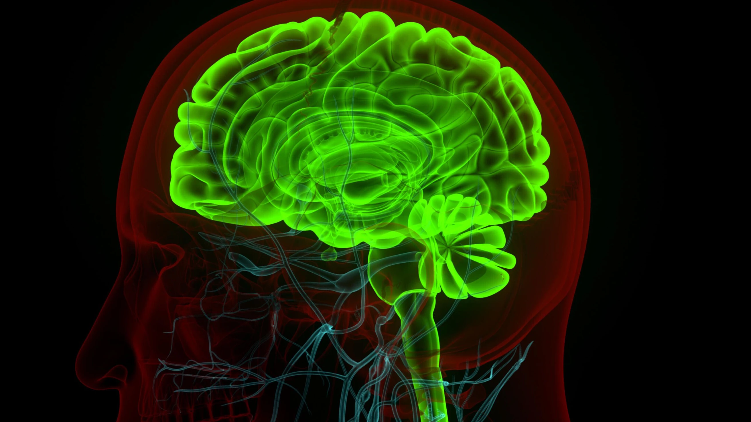 Entgiftung von Zellen: Wie ein Protein Parkinson auslösen könnte