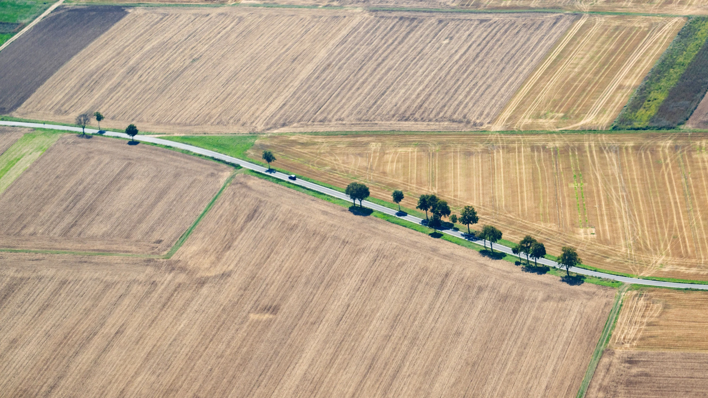 Ernte und Wetterextreme: Dürre Hilferufe der Landwirte Ernte und Wetterextreme: Dürre Hilferufe der Landwirte