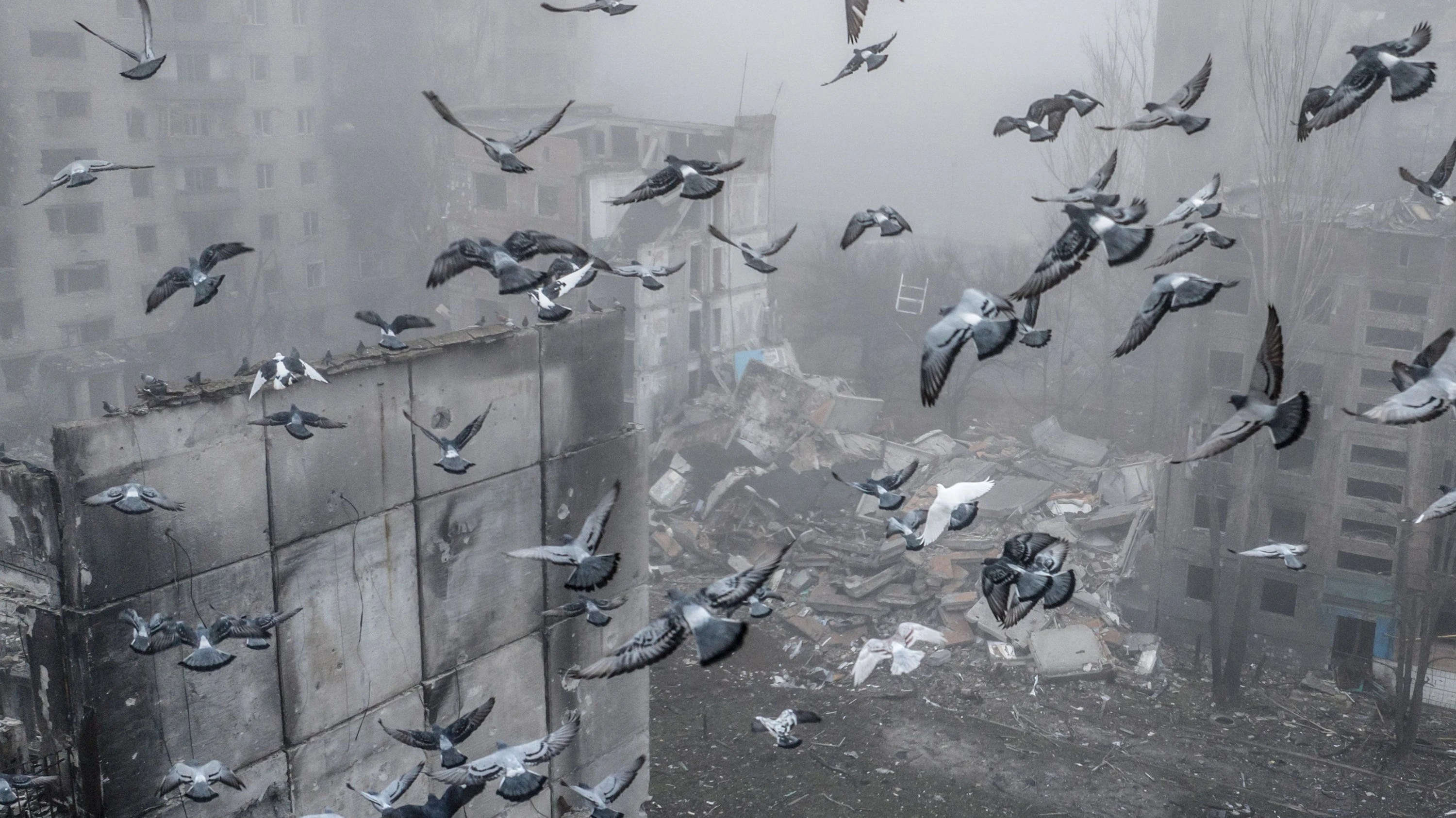 Krieg in der Ukraine: Bundeswehr-General: Russland lässt „keinerlei Willen zum Frieden“ erkennen Krieg in der Ukraine: Bundeswehr-General: Russland lässt „keinerlei Willen zum Frieden“ erkennen