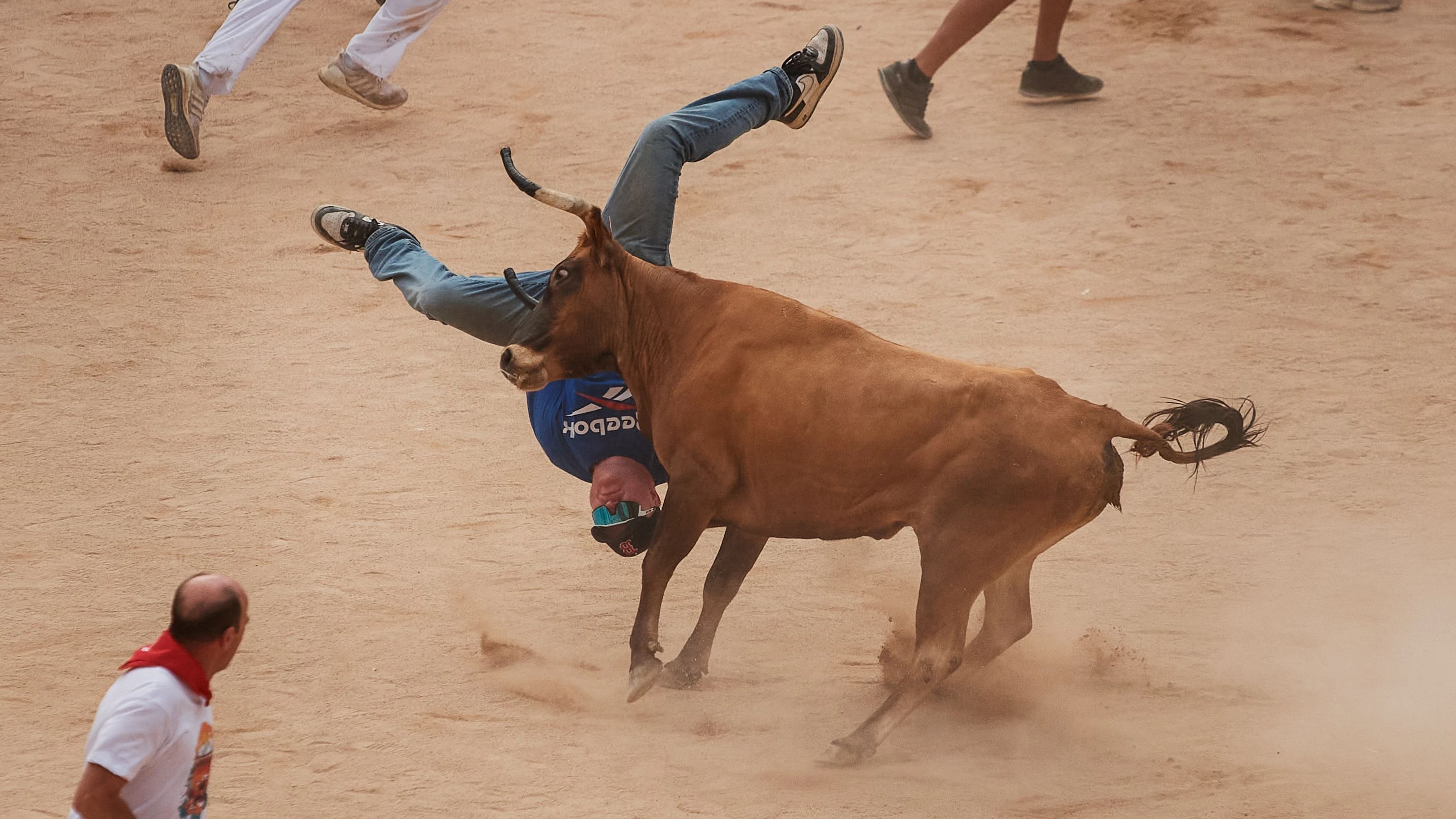 Bilanz der Sanfermines: Mehr als 70 Verletzte bei Stierhatz in Pamplona