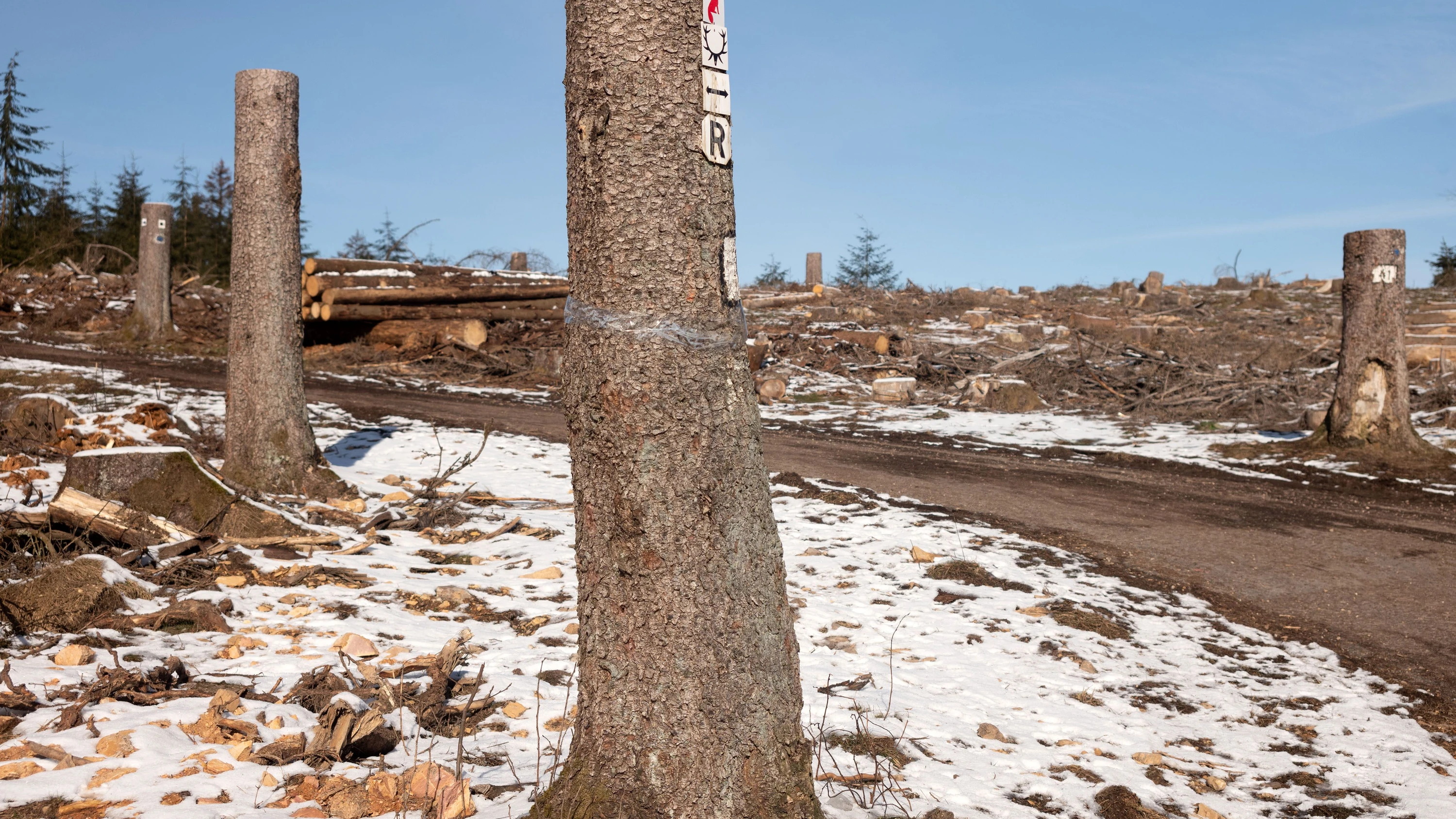 Windkraft im Taunus: Eine unendliche Geschichte