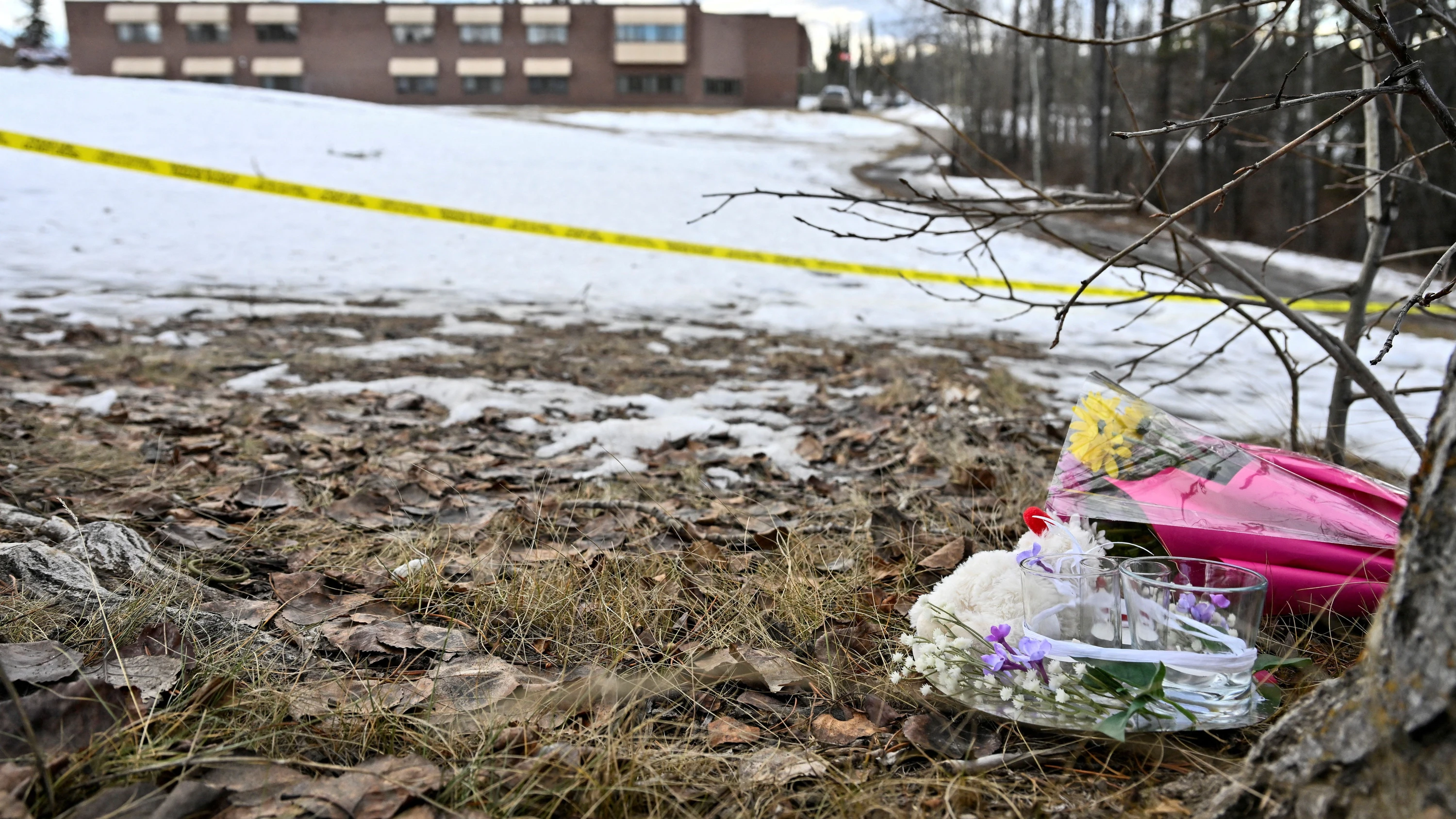 Schusswaffenangriff in Kanada: Polizei identifiziert 18-jährige Täterin von Tumbler Ridge