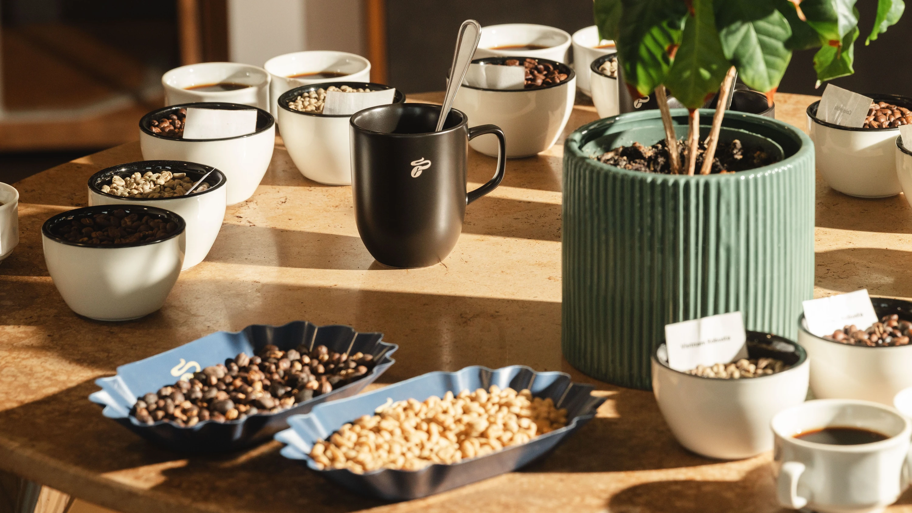 Tchibos Feine Milde: Kaffeefahrt nach Hamburg