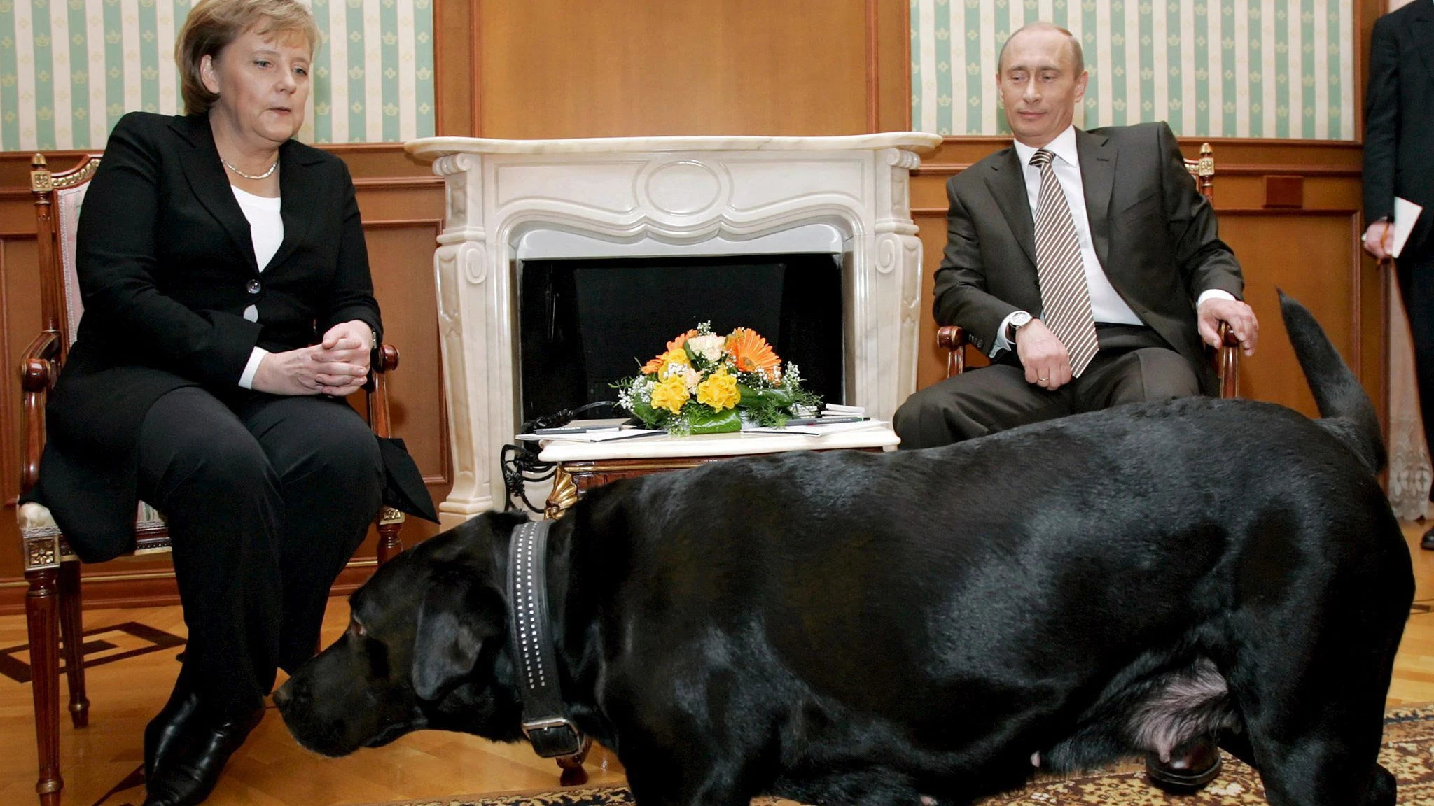 Bild: Der Geschichtspodcast: Unser Blick auf Putin: Wie die Täuschung begann