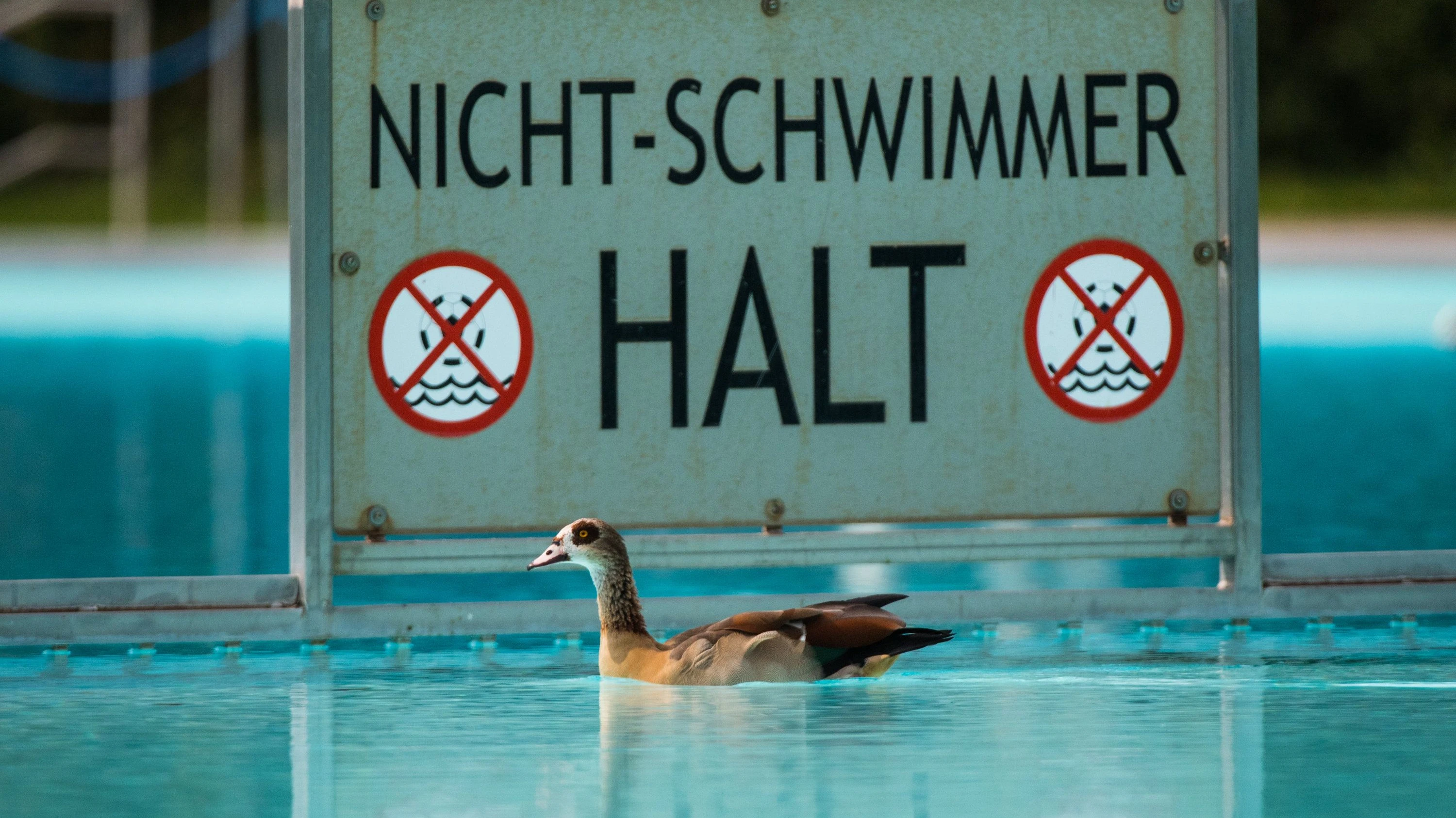 Frankfurter Brentanobad: Bäderbetriebe reagieren spontan auf Wetterumschwung