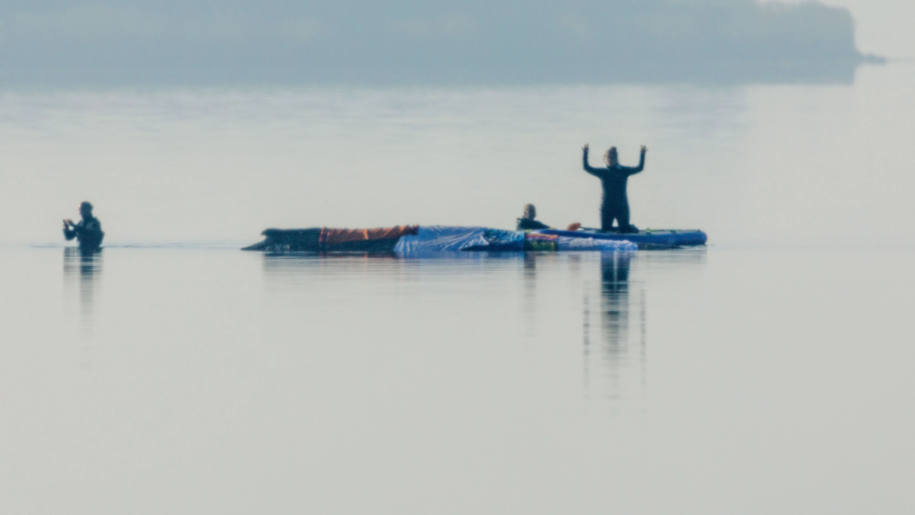 Gestrandeter Wal: Die Walrettung wird zur Wohlfühlshow fürs gute Gewissen