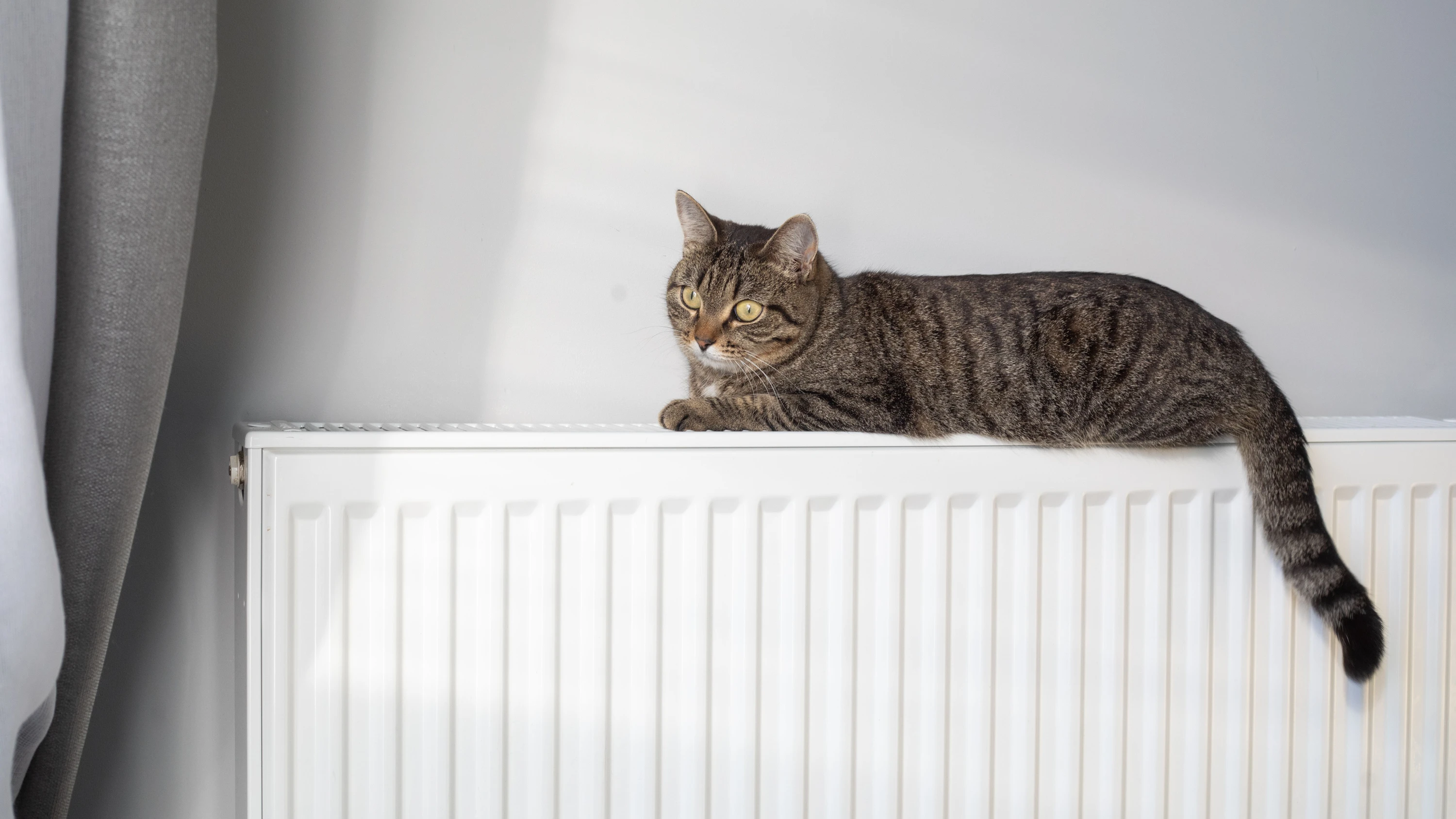 Schwarz-rote Heizungspläne: Mehr Freiheit – aber keine Klarheit