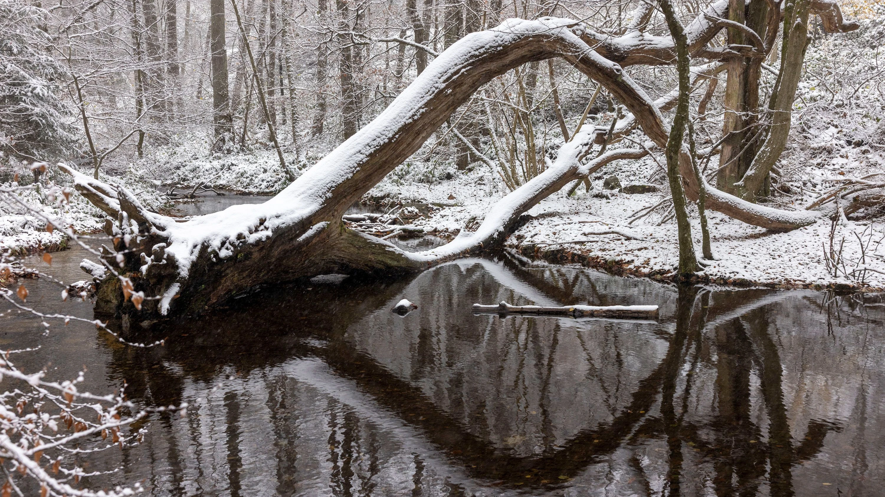 Liveticker Hessen & Frankfurt: Erst Glätte, dann Sonne in Hessen